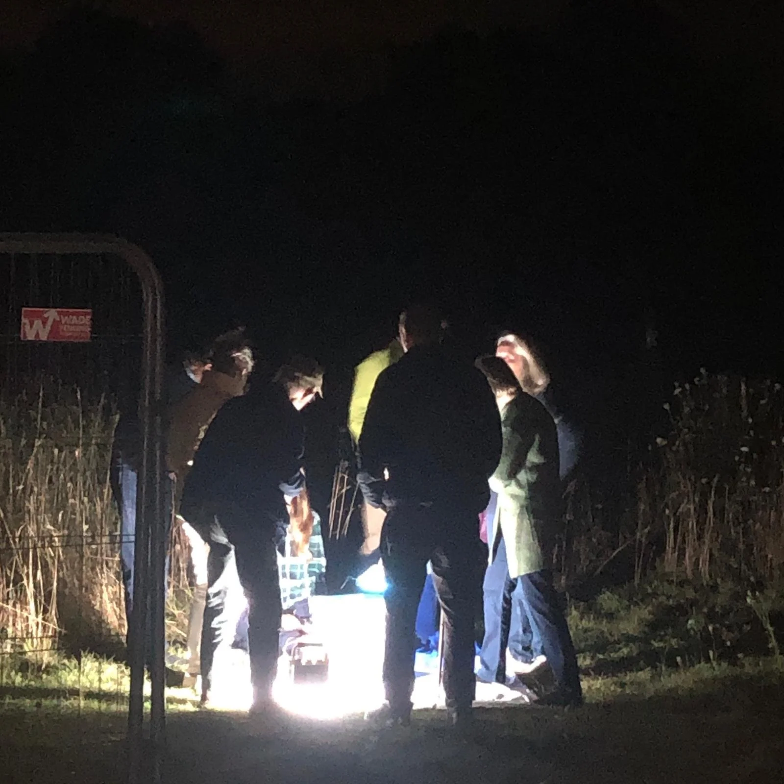 A Magical Evening with Bats and Moths at Harmony Woods