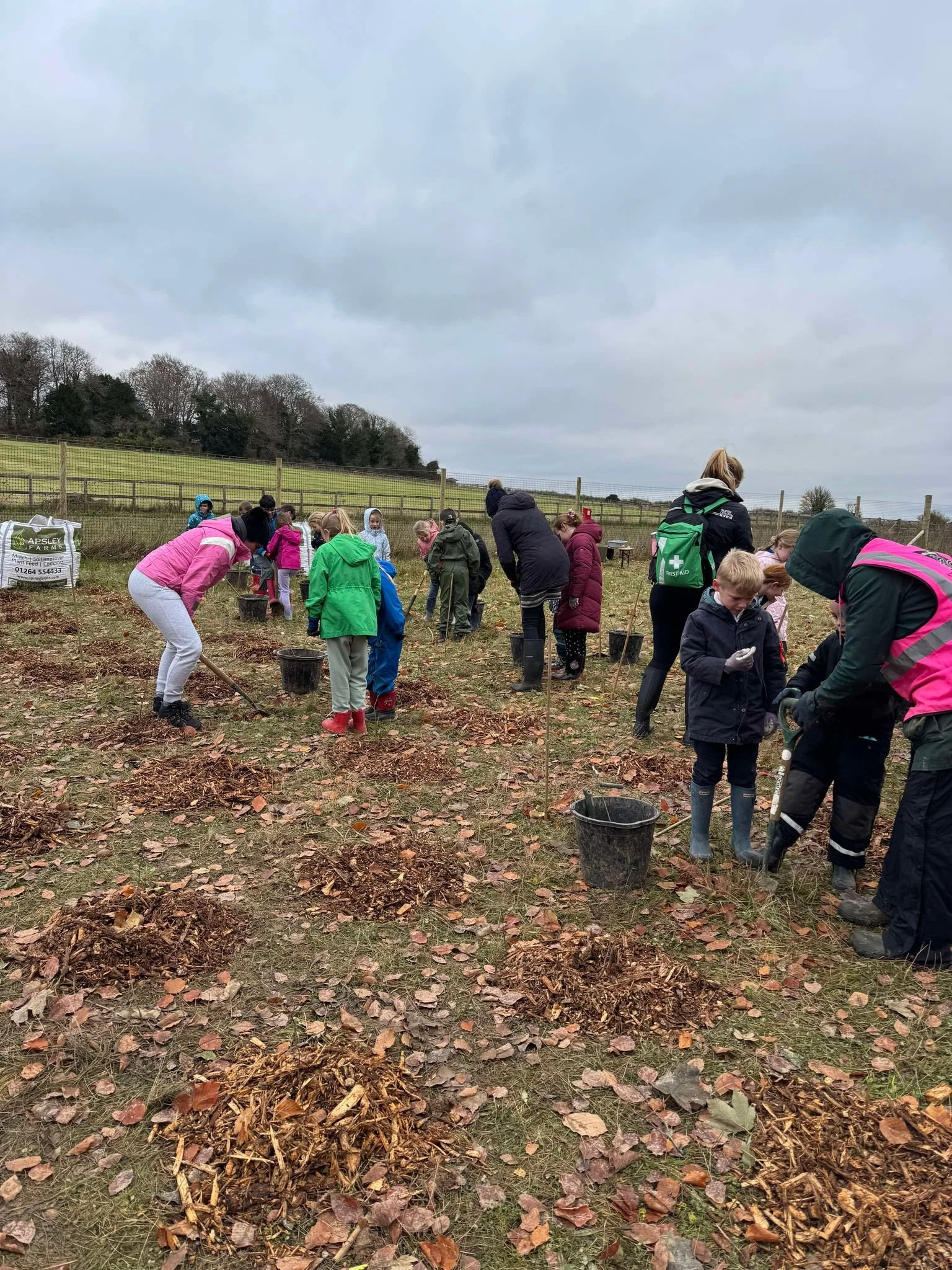 Local Schools and Volunteers Join Forces for Tree Planting Success at Bury Hill Meadows