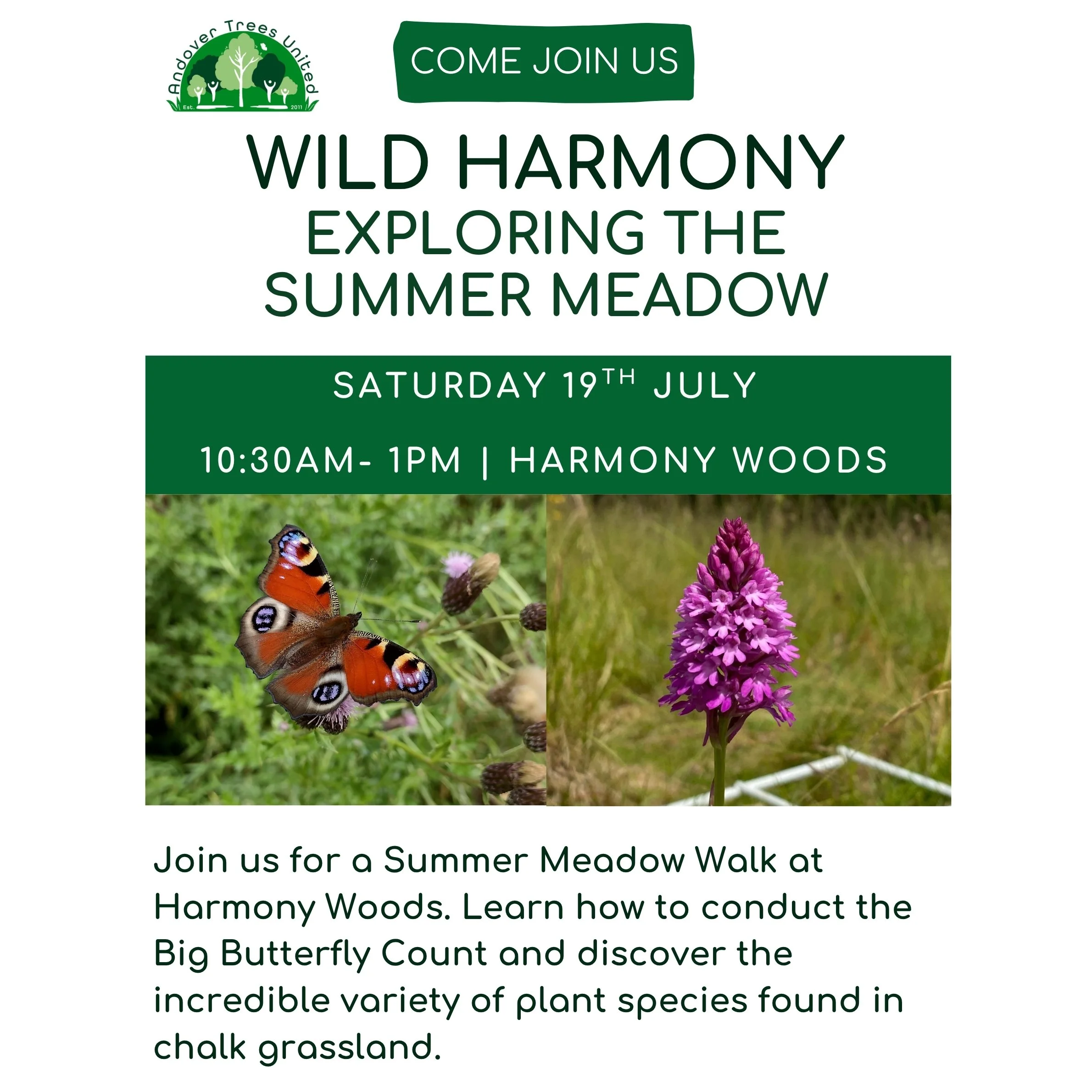 Wild Harmony