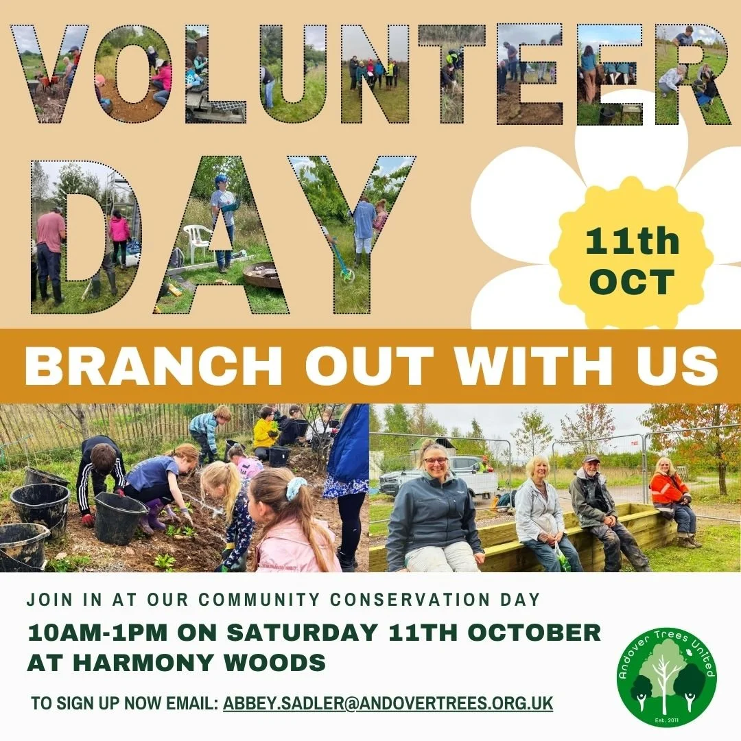October's Wildflower Community Conservation Day