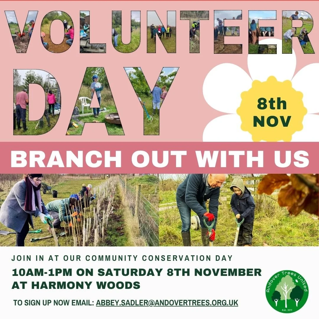 November's Community Conservation Day