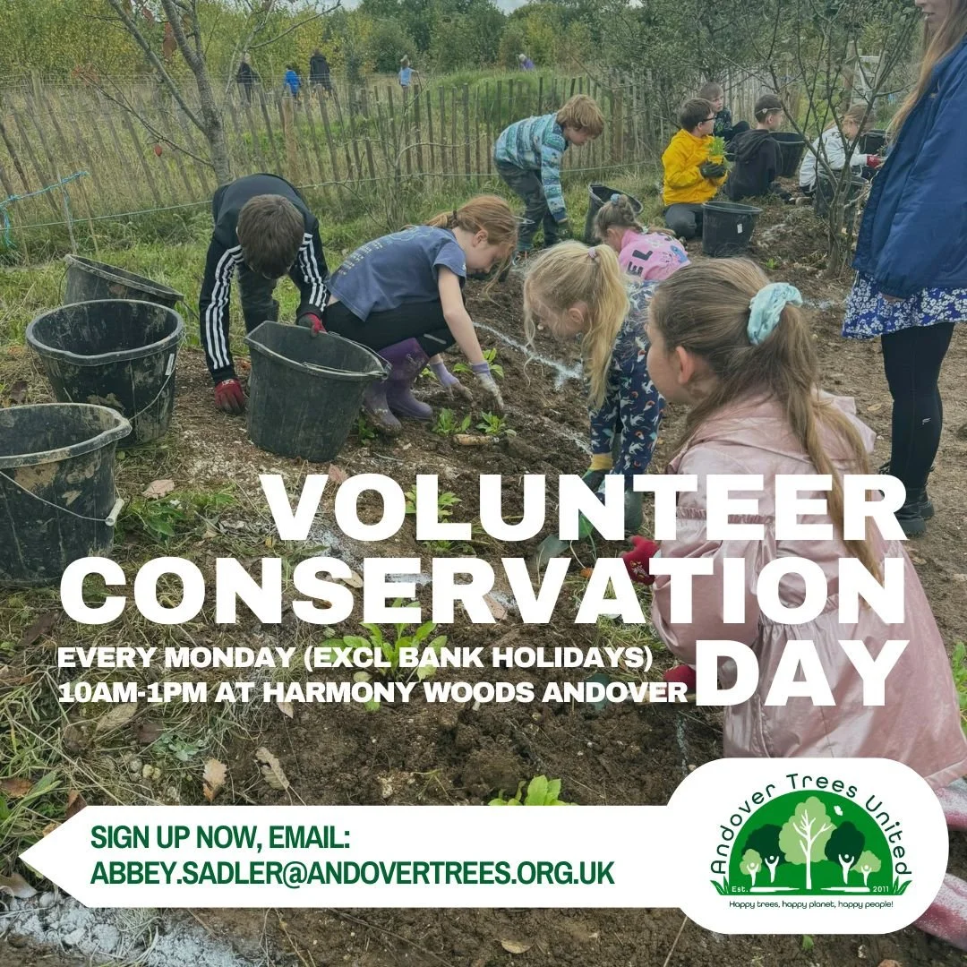 Volunteer Conservation Day
