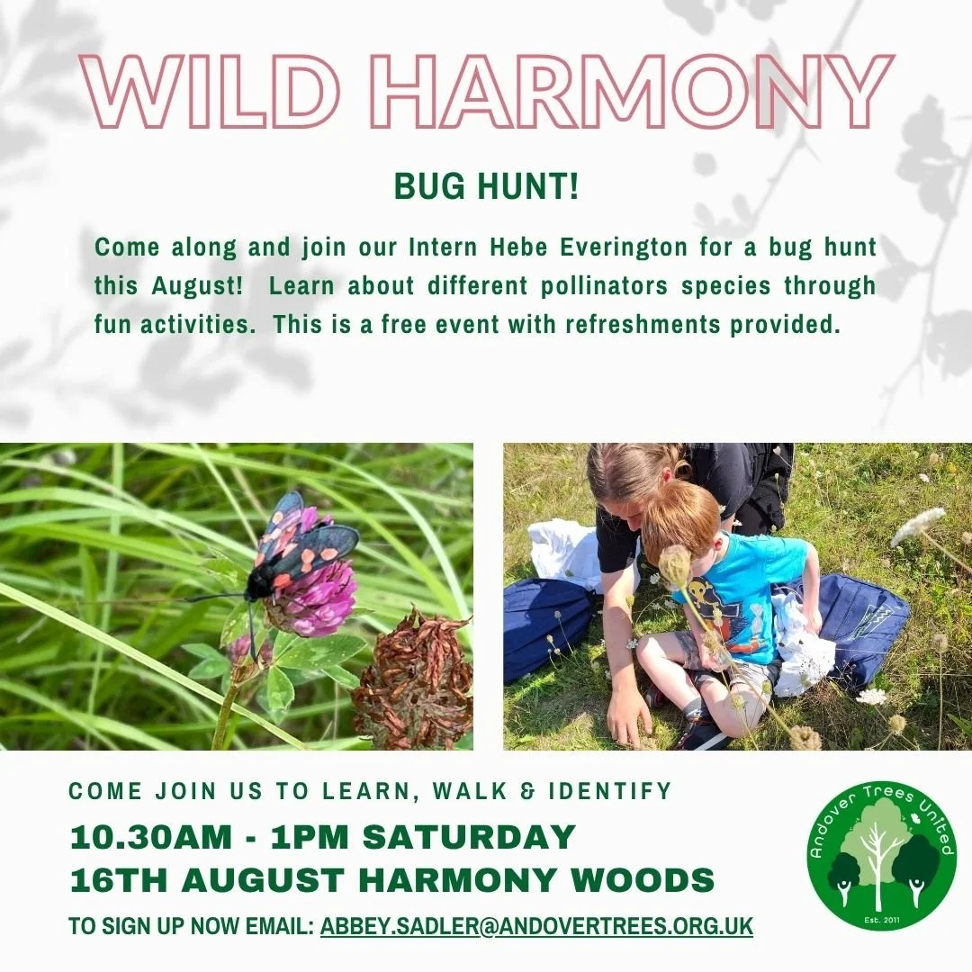 Wild Harmony