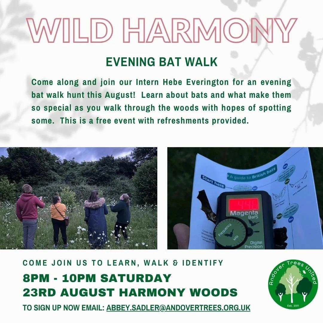 Wild Harmony