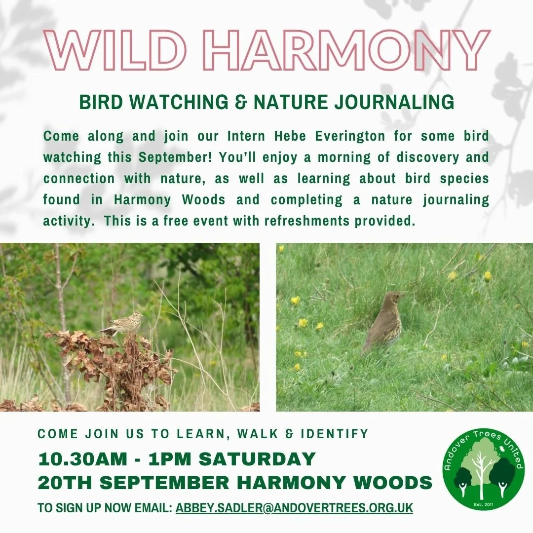 Wild Harmony
