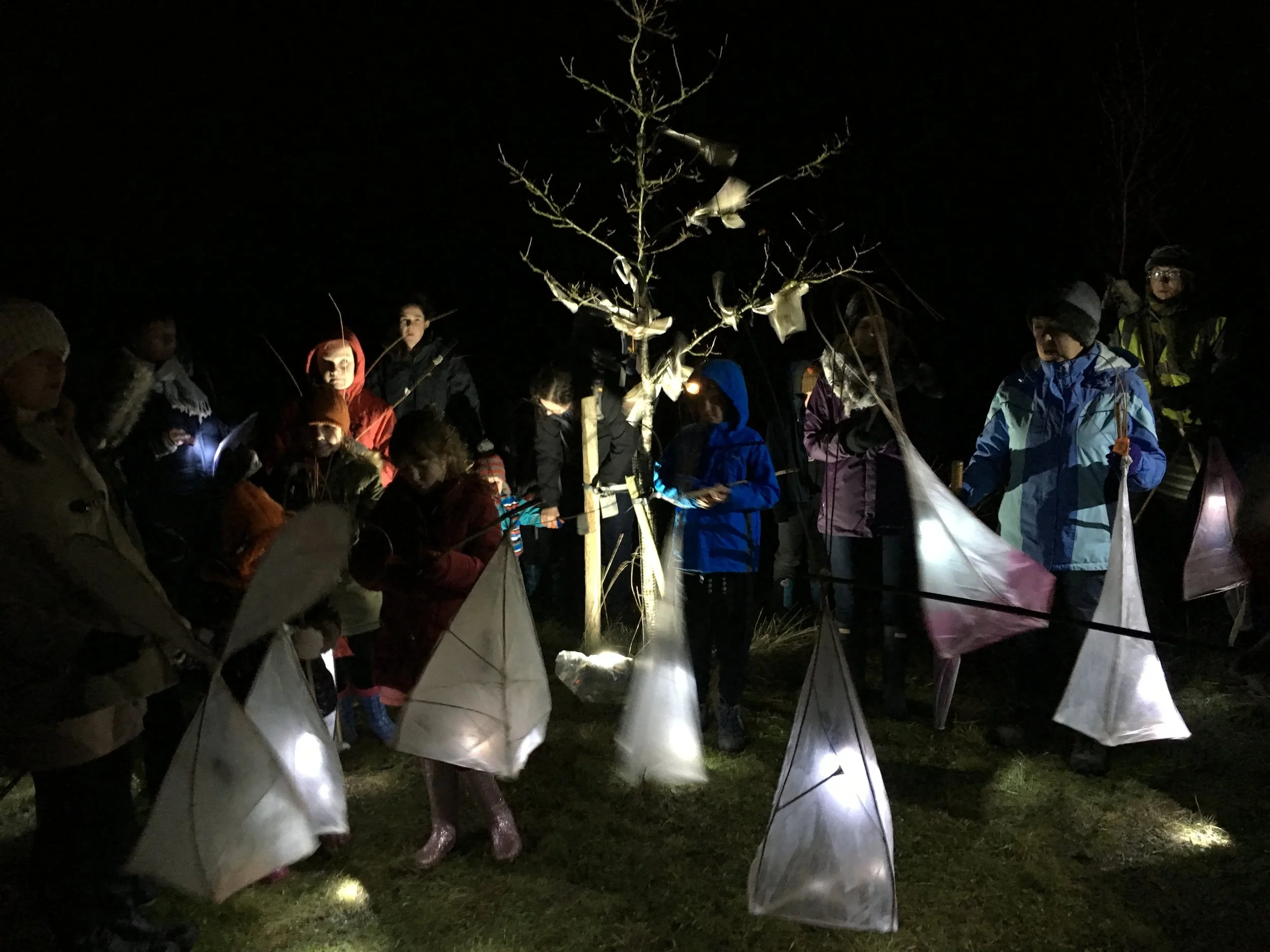 Tree Dressing and Lanterns Harmony Woods.jpeg