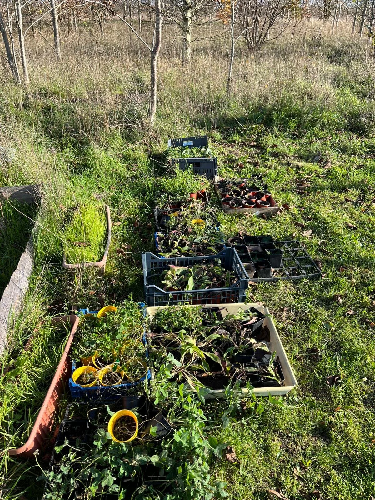 WhatsApp Image 2025-11-18 at 14.44.04.jpeg