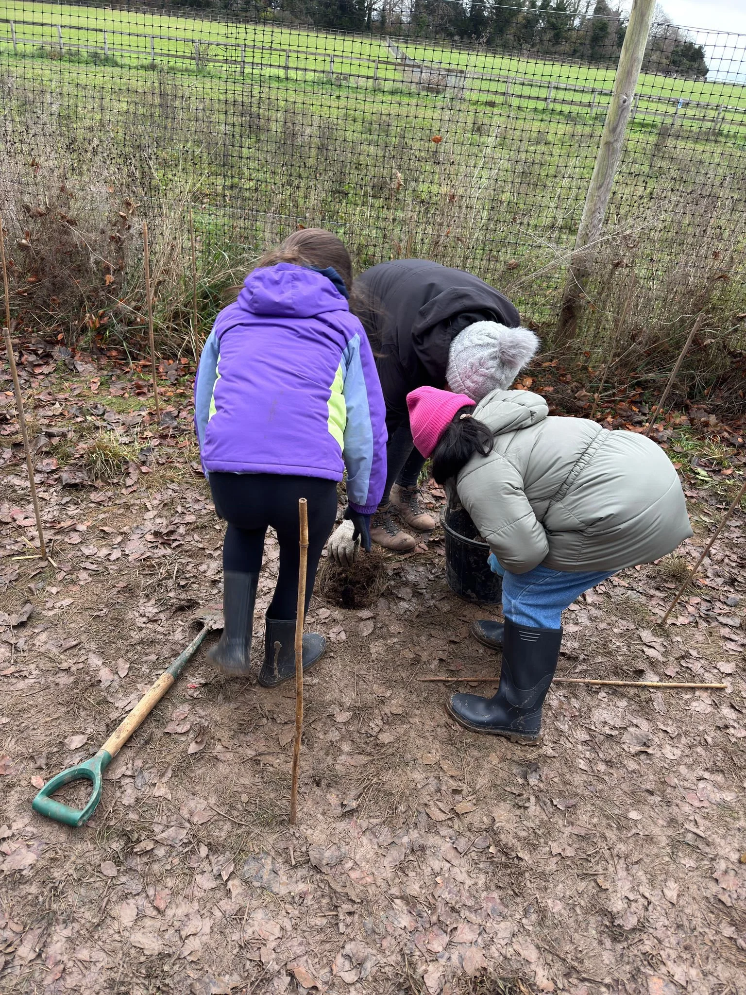 Digging it: The weekly adventures of Volunteer Conservation Teams!