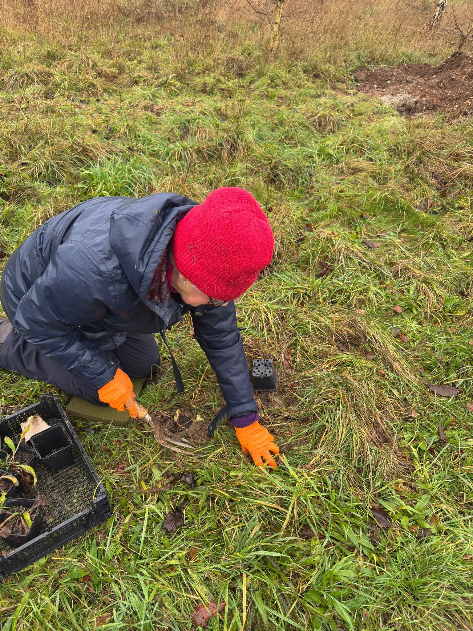 WhatsApp Image 2025-12-01 at 16.26.28.jpeg