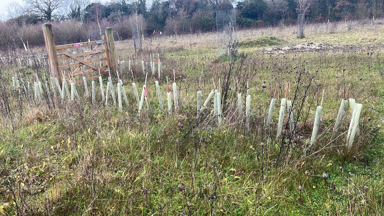 WhatsApp Image 2025-12-08 at 14.22.24 (1).jpeg