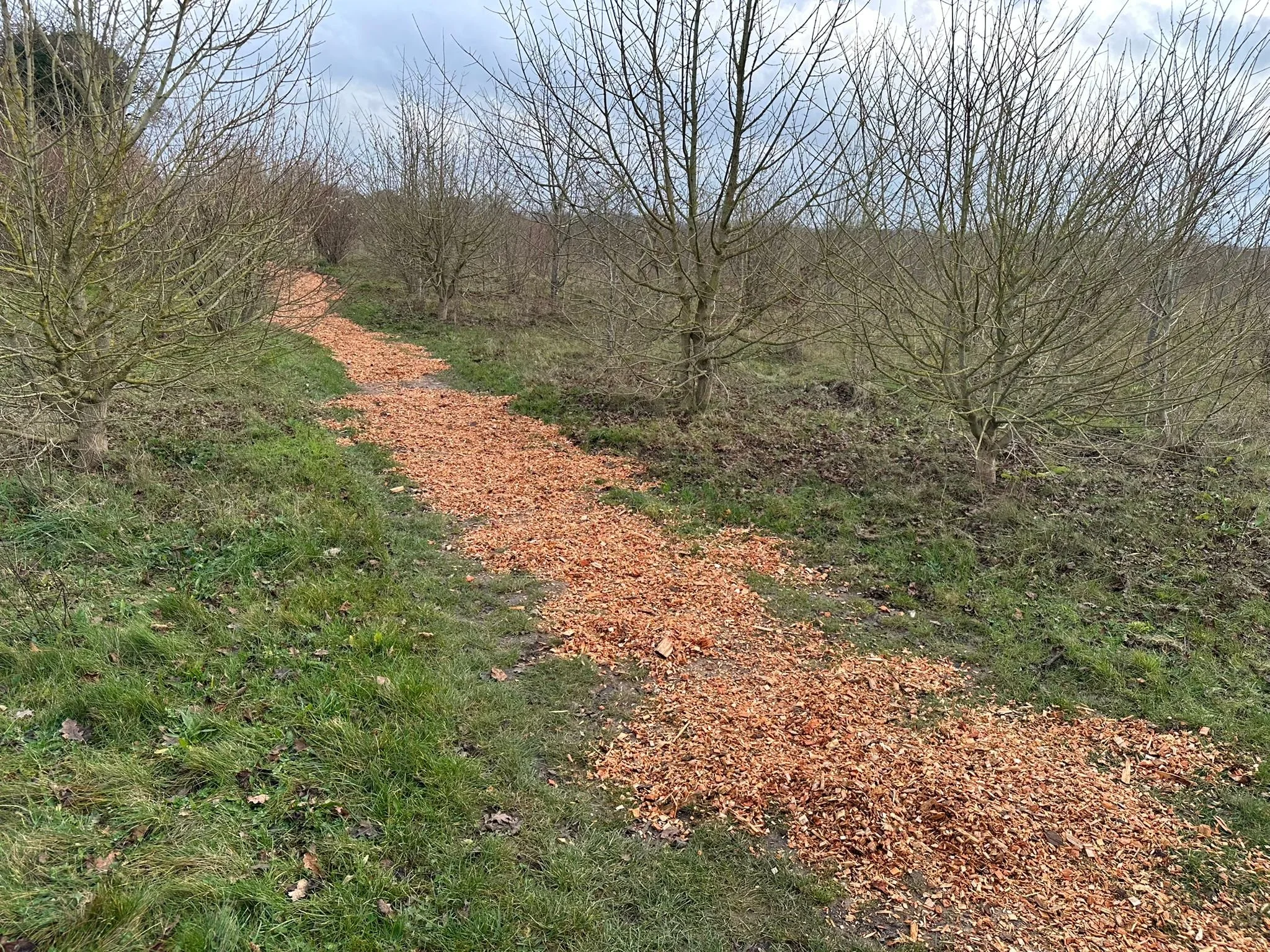 WhatsApp Image 2025-12-15 at 15.06.07.jpeg