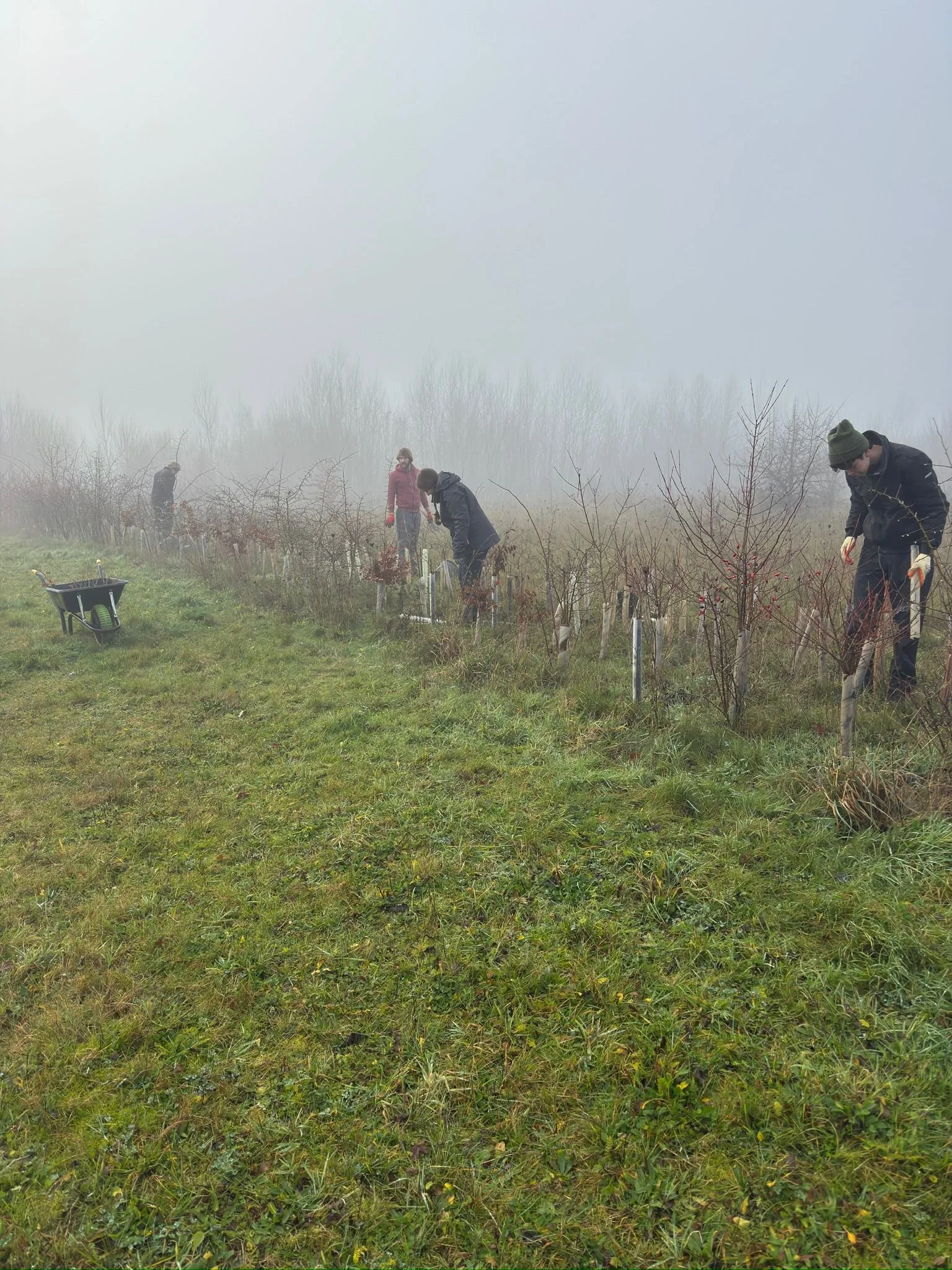 WhatsApp Image 2025-12-13 at 14.16.14 (2).jpeg