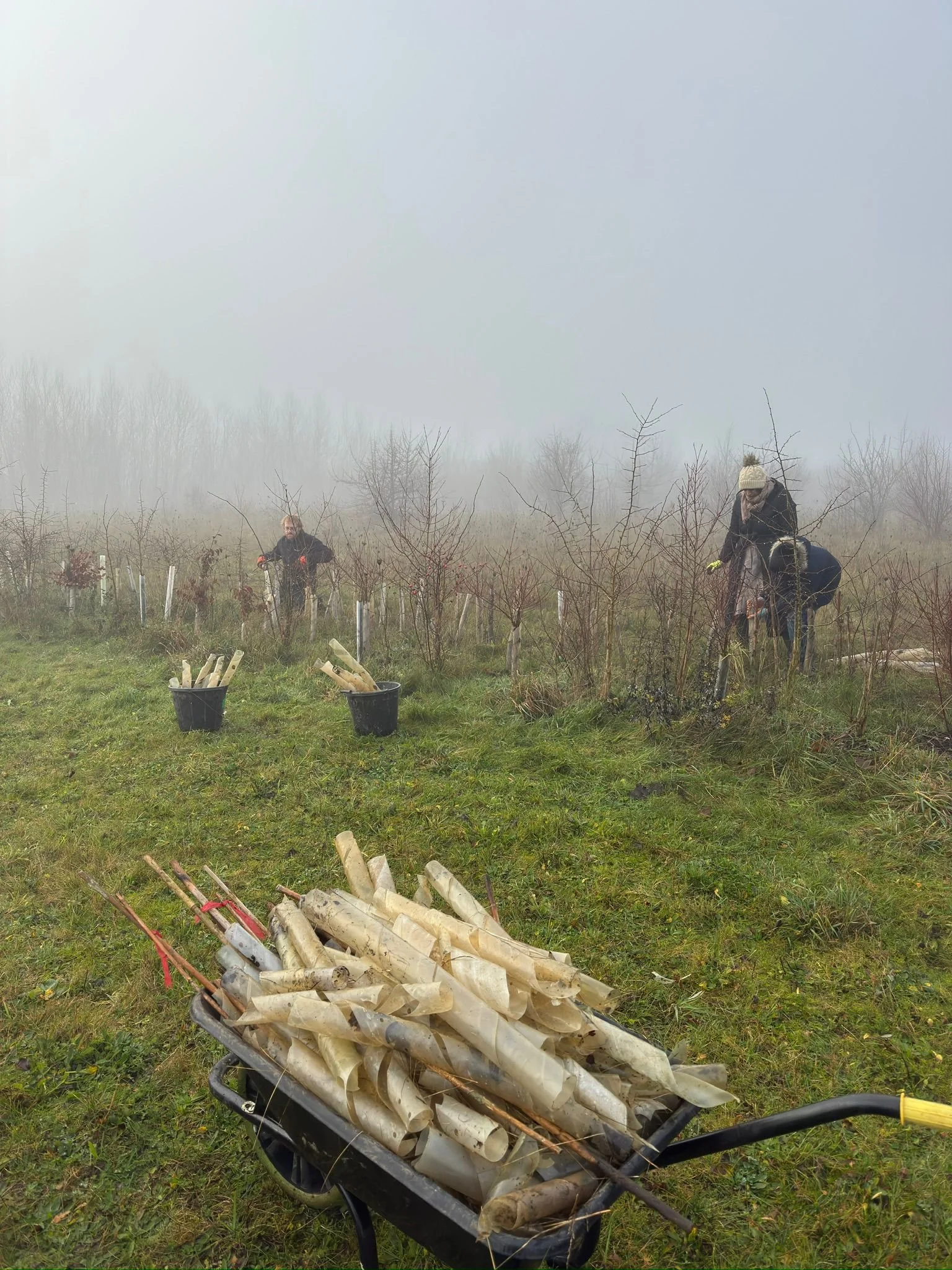 WhatsApp Image 2025-12-13 at 14.16.14 (3).jpeg