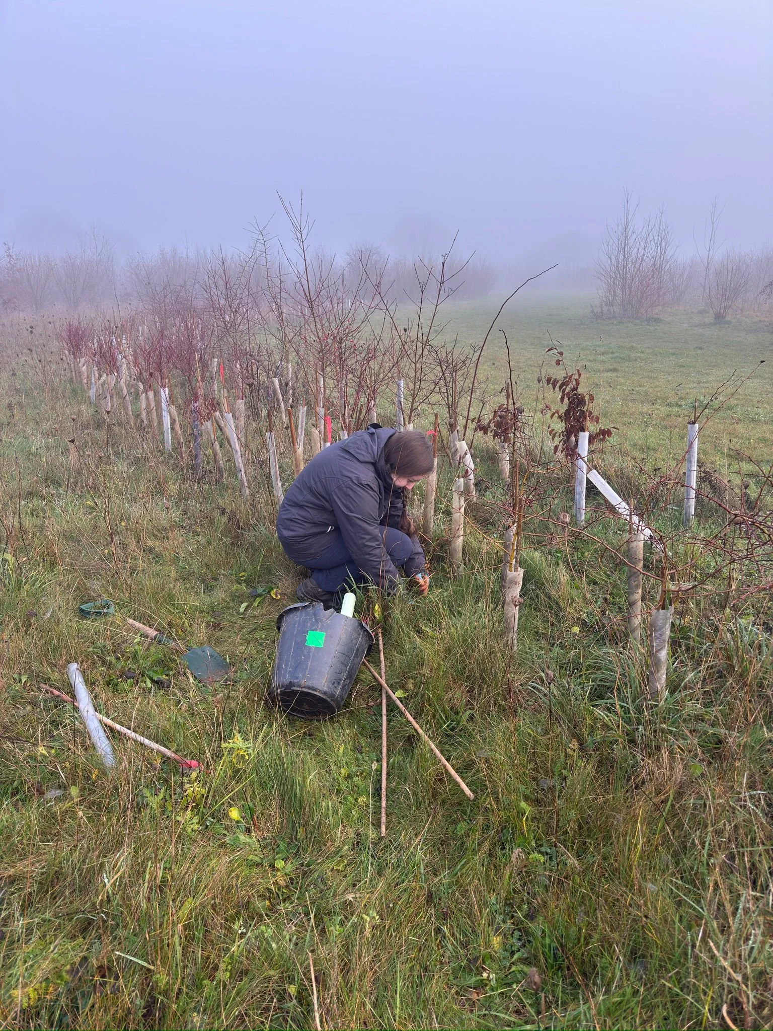 WhatsApp Image 2025-12-13 at 14.16.14.jpeg