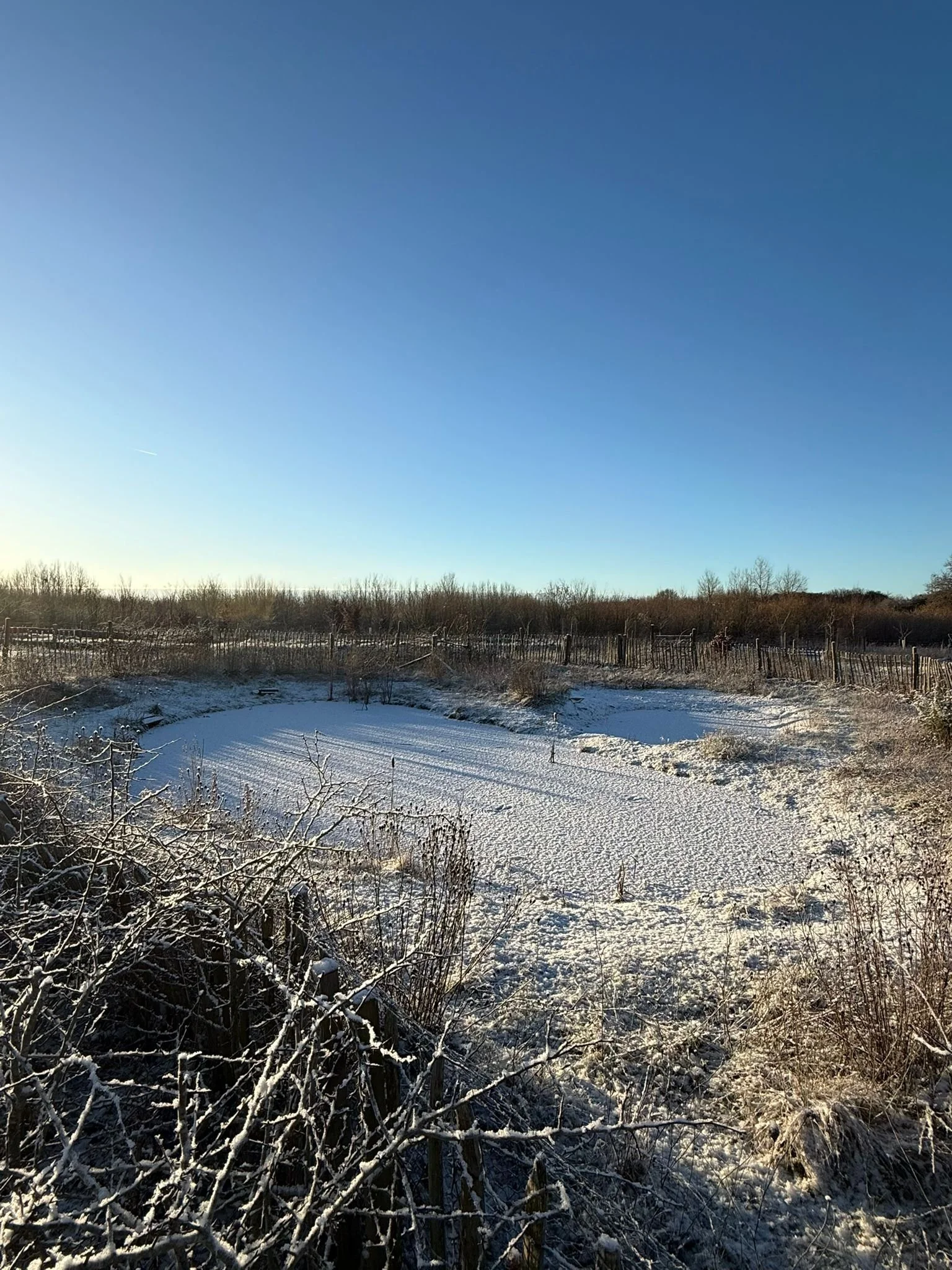 Digging it: The weekly adventures of Volunteer Conservation Teams!