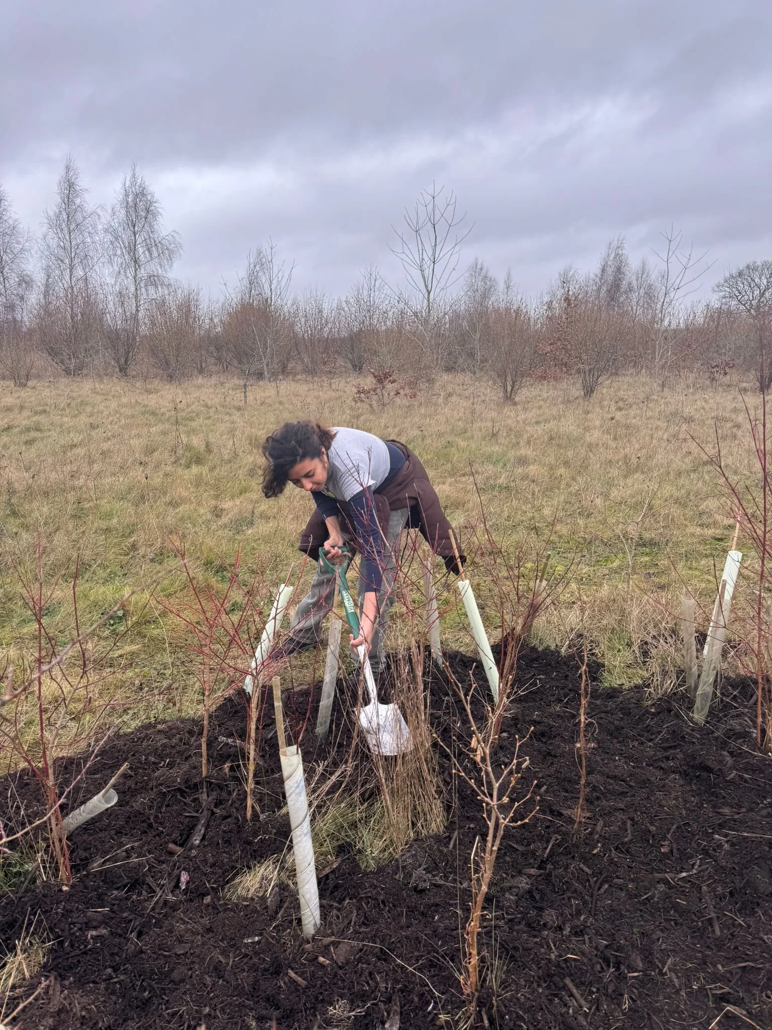 WhatsApp Image 2026-01-12 at 16.43.34 (1).jpeg