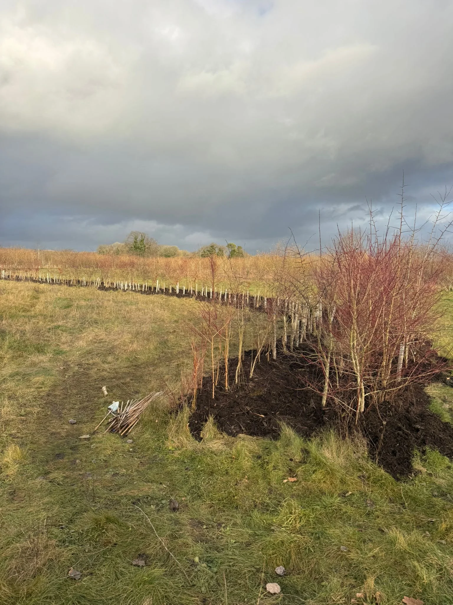 WhatsApp Image 2026-01-12 at 16.43.33.jpeg