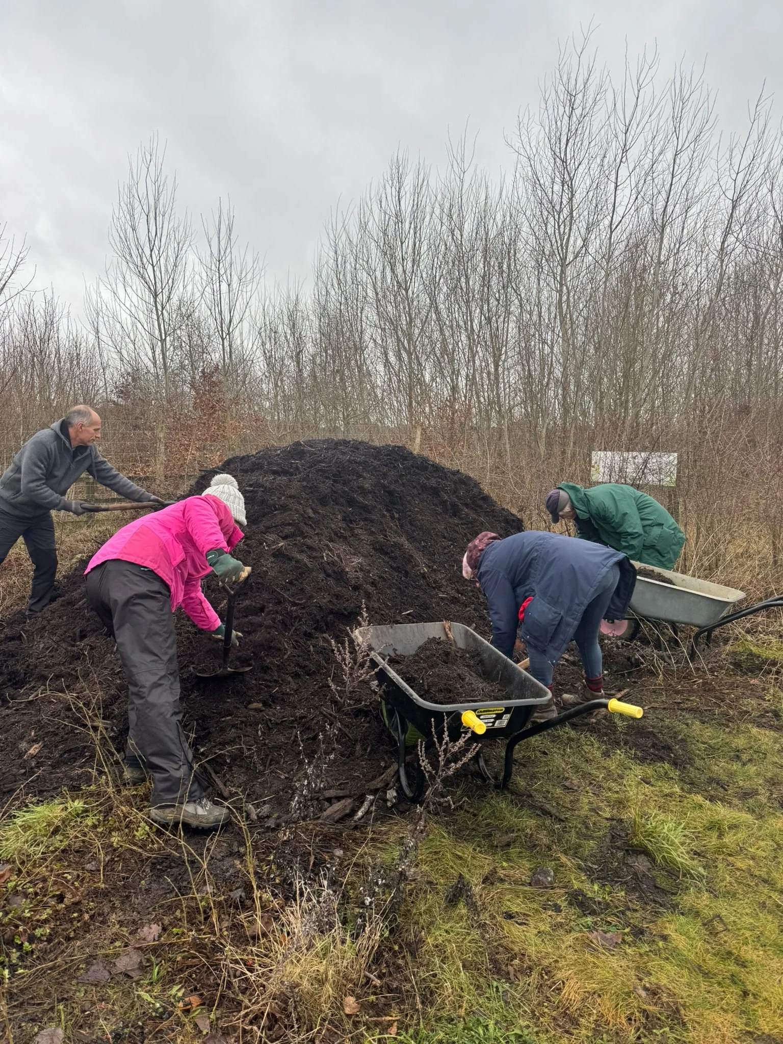 Digging it: The weekly adventures of Volunteer Conservation Teams!