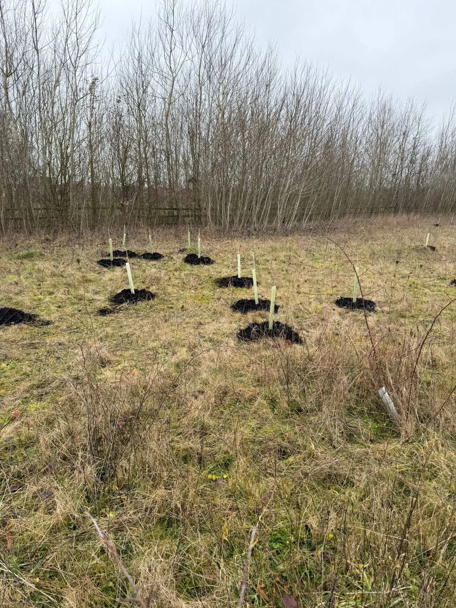 WhatsApp Image 2026-01-26 at 16.07.22 (5).jpeg