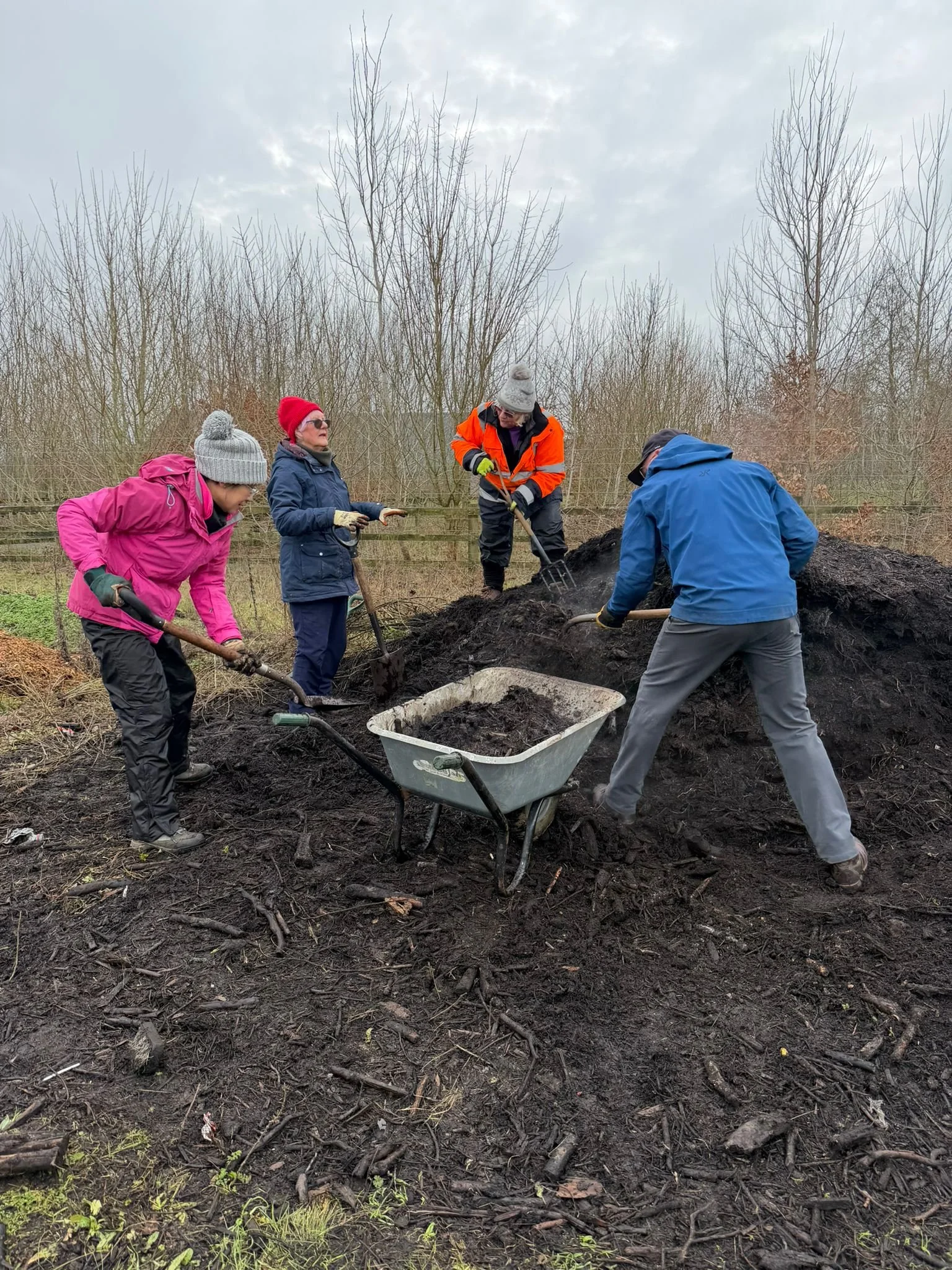 Digging it: The weekly adventures of Volunteer Conservation Teams!