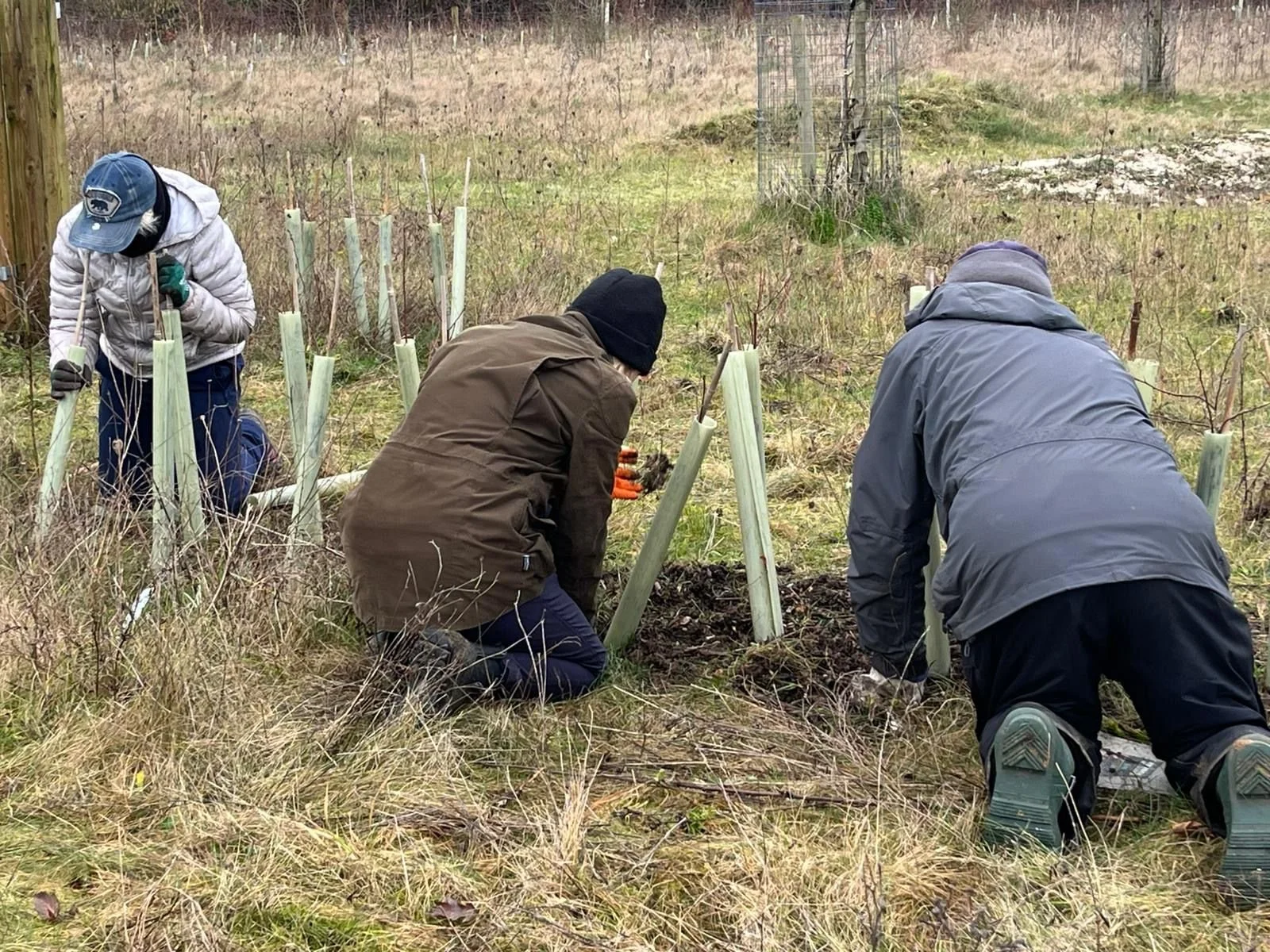 WhatsApp Image 2026-02-02 at 15.48.54.jpeg