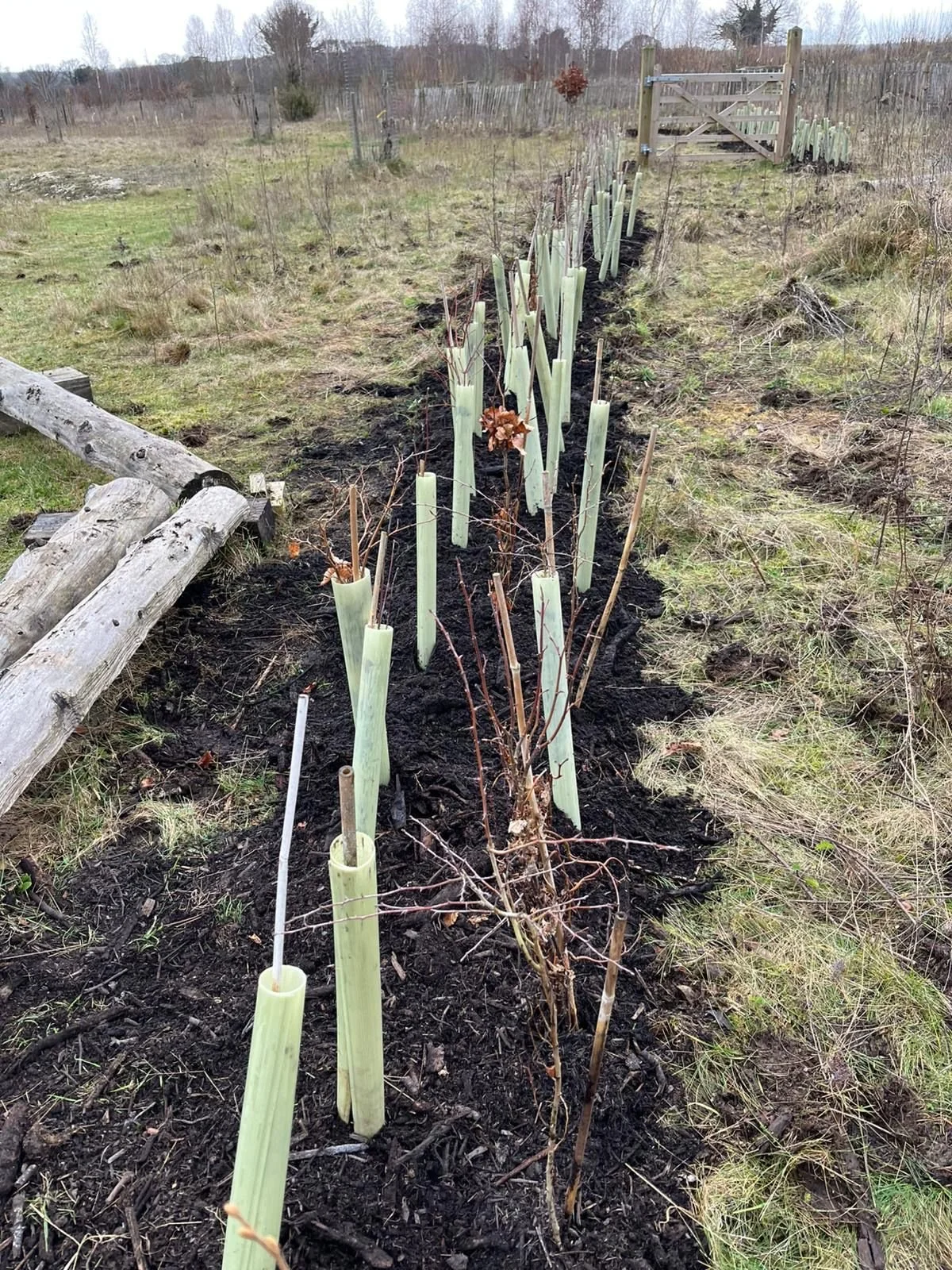 WhatsApp Image 2026-02-02 at 15.48.55 (2).jpeg