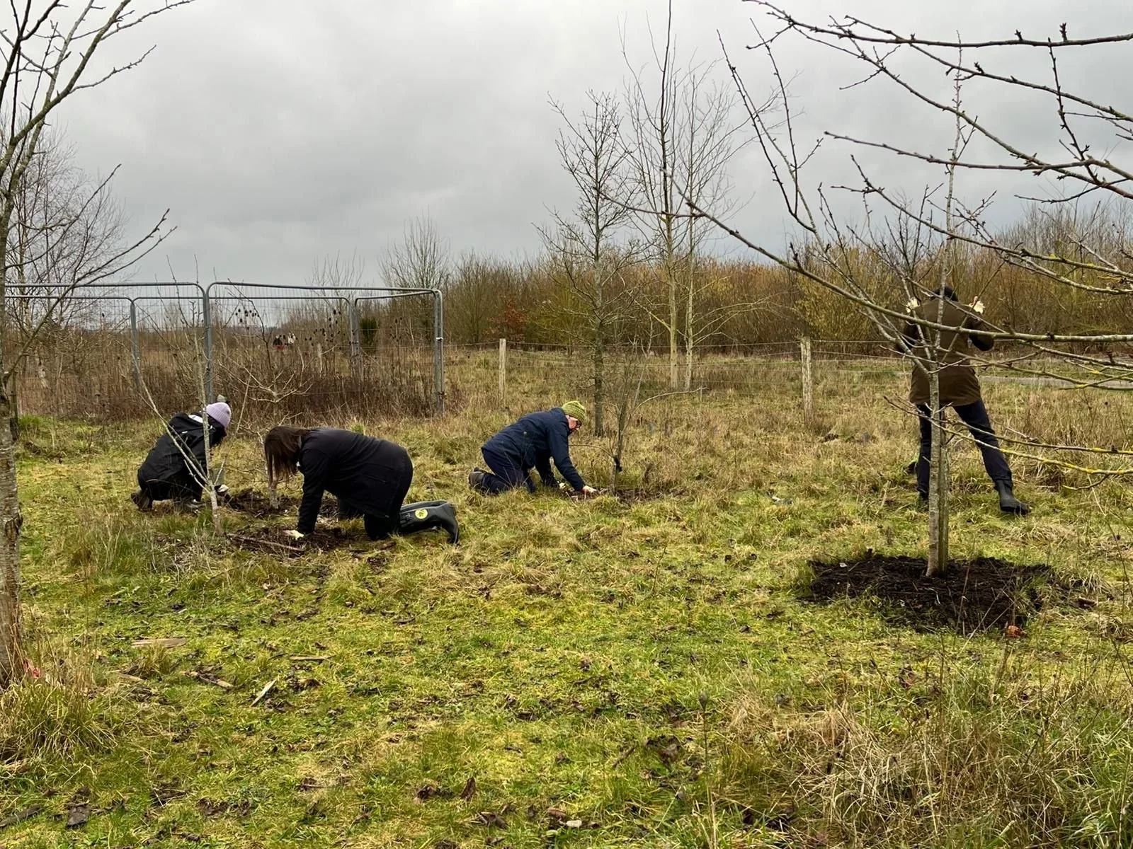 WhatsApp Image 2026-02-02 at 15.48.56.jpeg