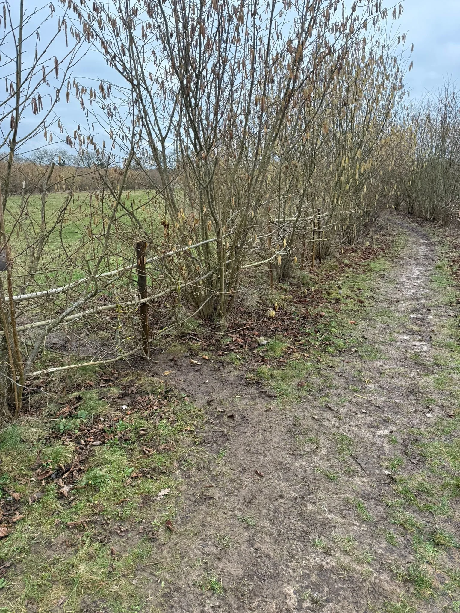 WhatsApp Image 2026-02-02 at 15.48.57 (7).jpeg