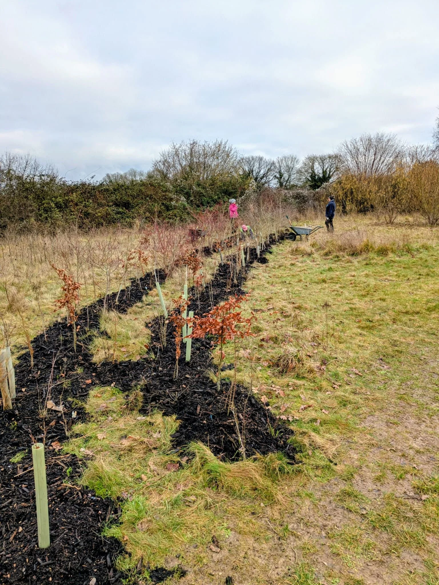 WhatsApp Image 2026-02-02 at 15.48.57 (12).jpeg