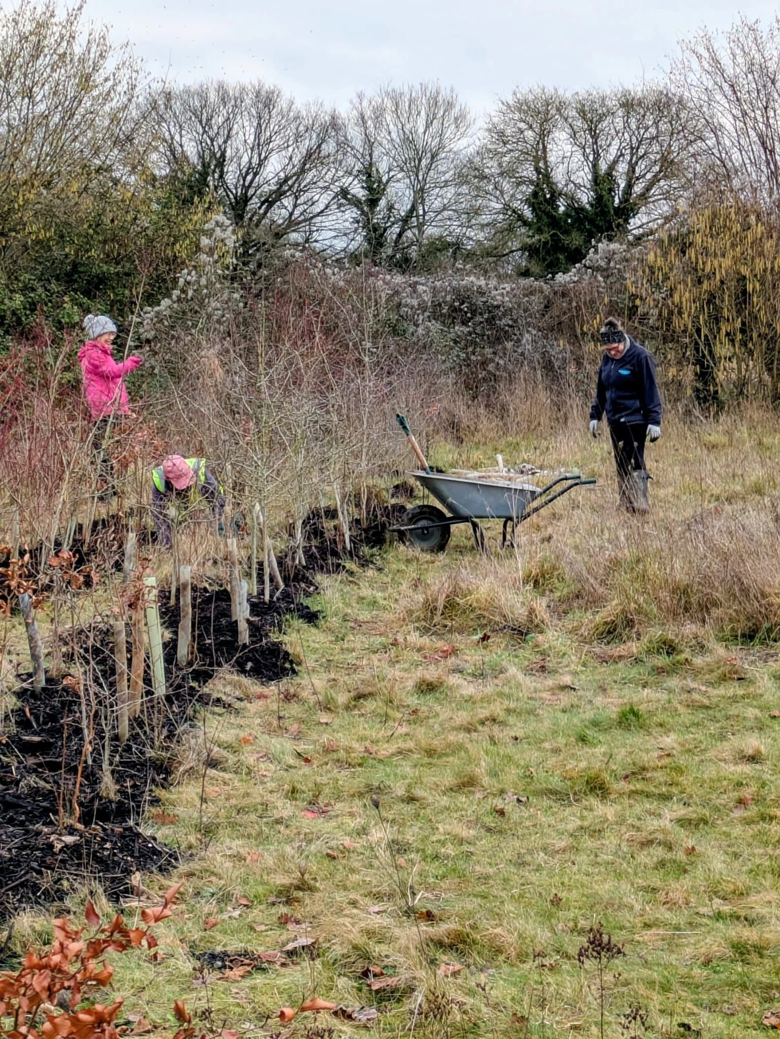 WhatsApp Image 2026-02-02 at 15.48.57 (13).jpeg