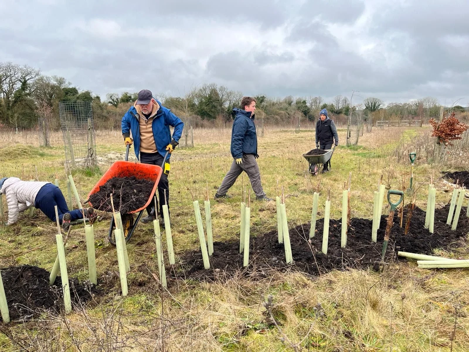 Digging it: The weekly adventures of Volunteer Conservation Teams!