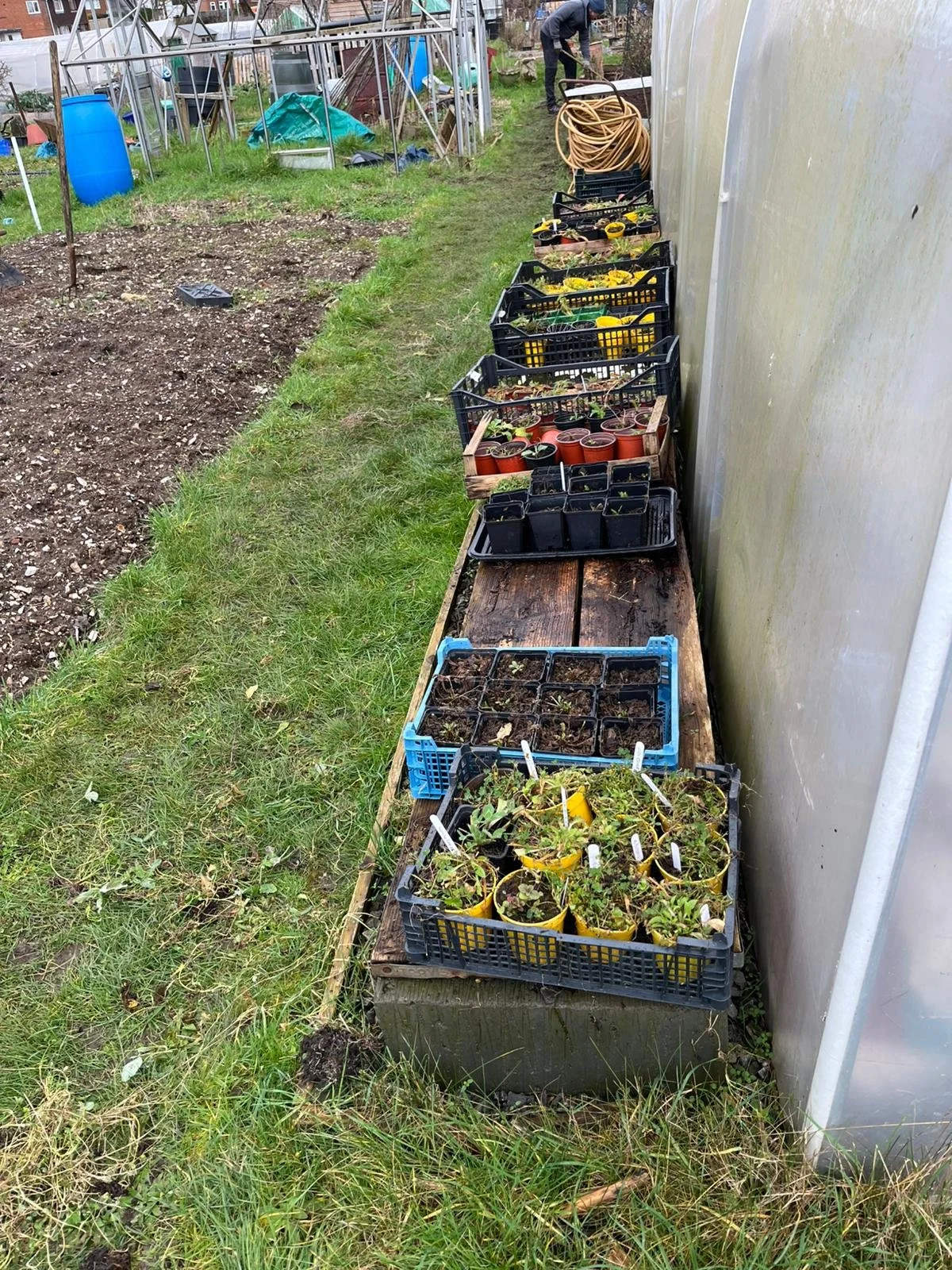 WhatsApp Image 2026-02-10 at 10.23.05 (1).jpeg