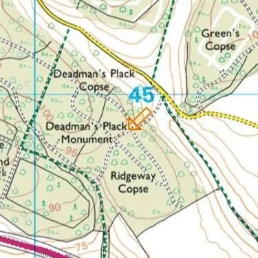 Location of trees for felling