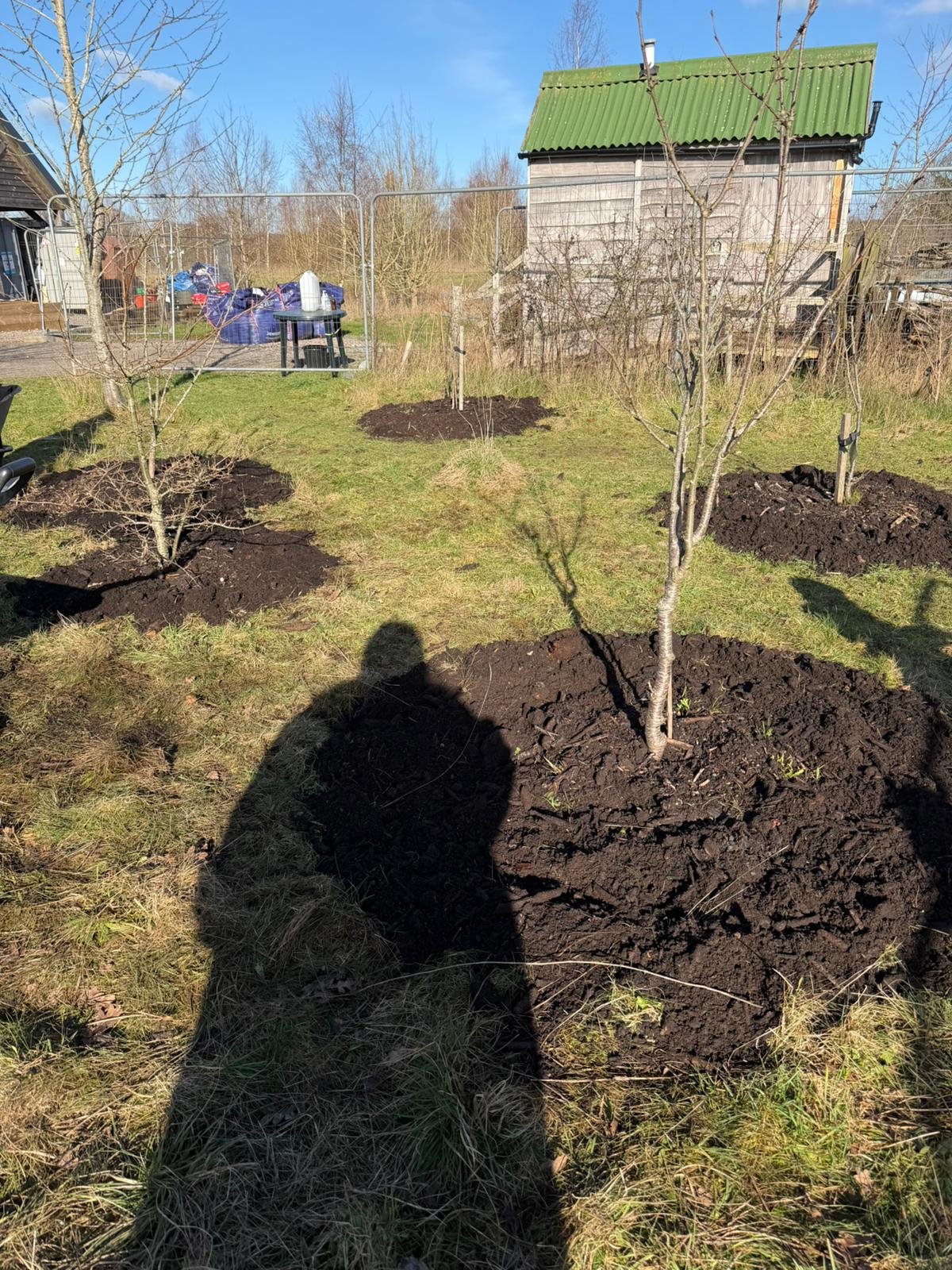 WhatsApp Image 2026-02-14 at 12.55.02.jpeg