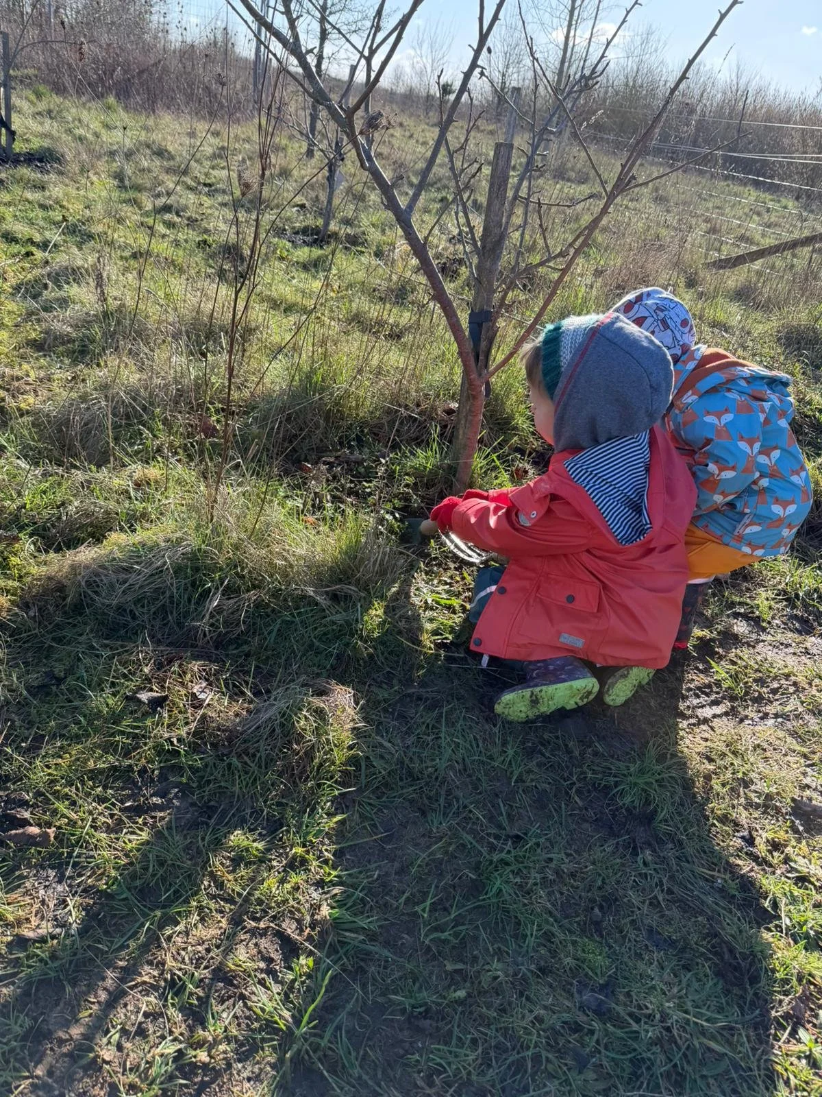 WhatsApp Image 2026-02-14 at 12.55.01 (1).jpeg