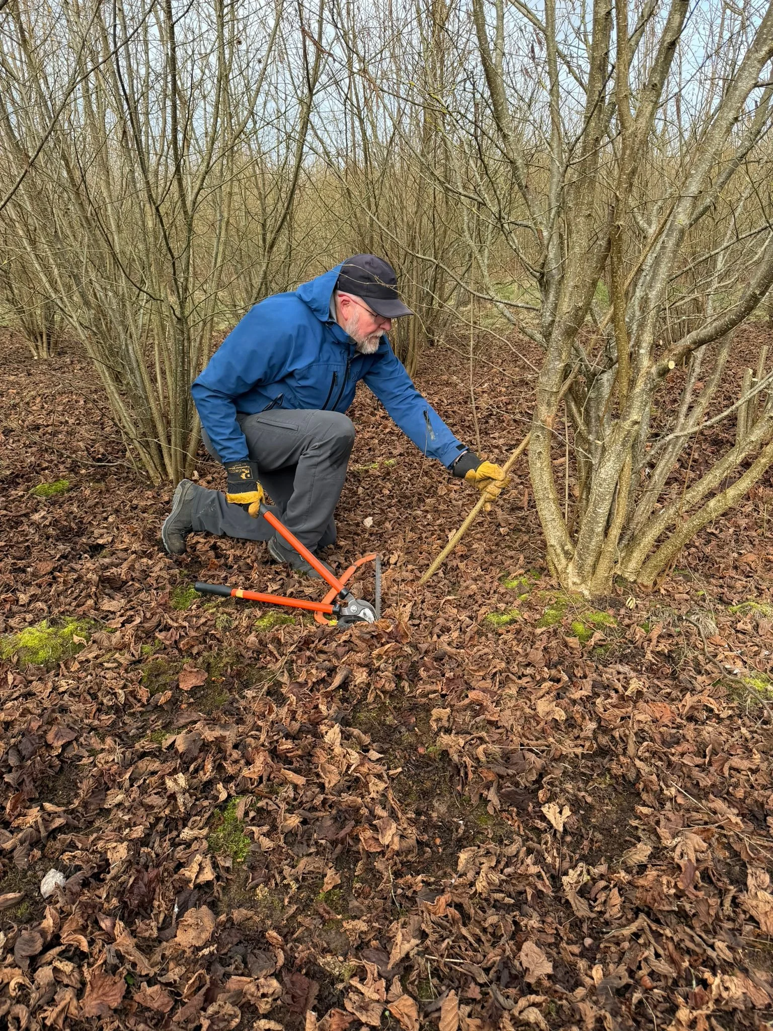 WhatsApp Image 2026-02-23 at 18.31.26 (1).jpeg