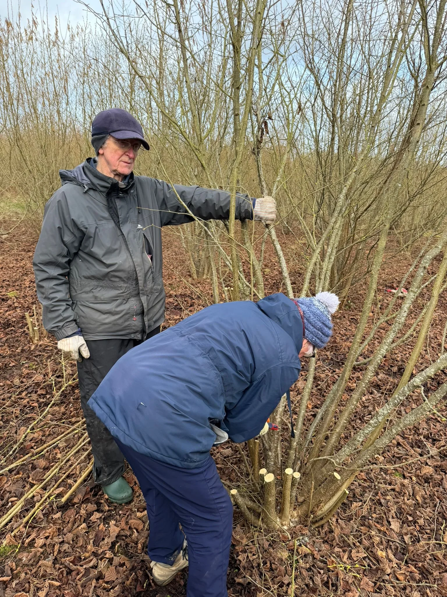 WhatsApp Image 2026-02-23 at 18.31.28 (1).jpeg