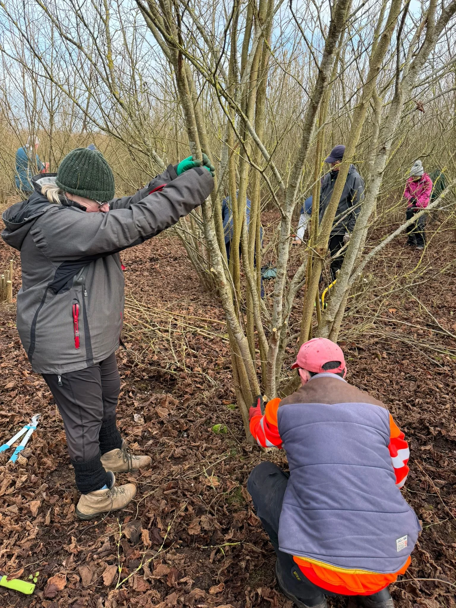 WhatsApp Image 2026-02-23 at 18.31.28.jpeg