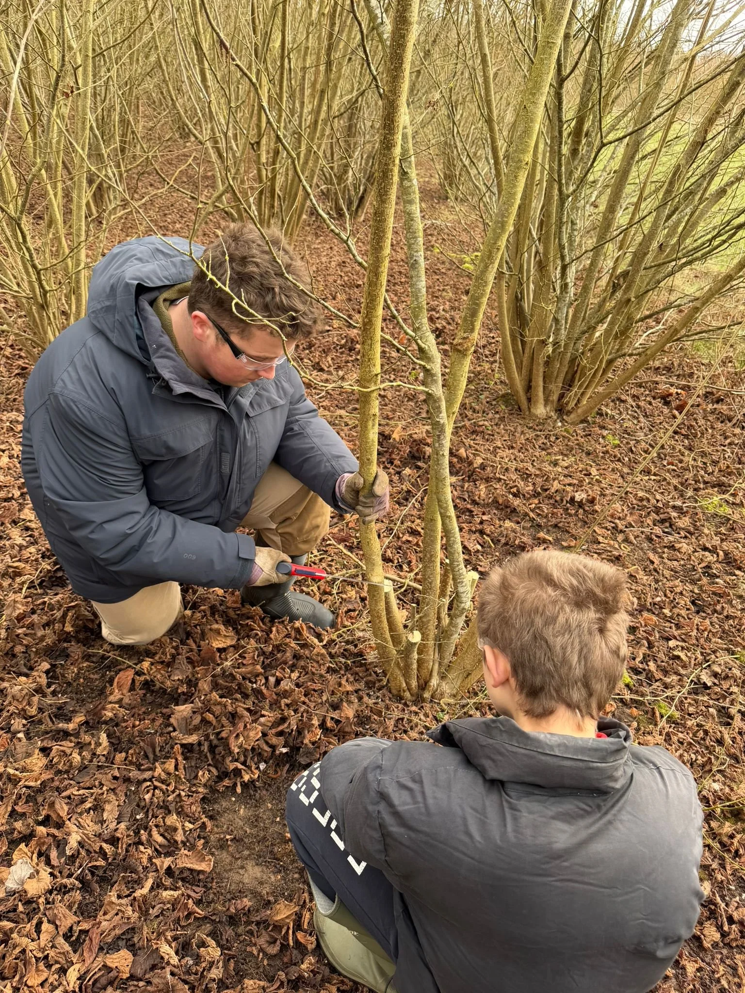 WhatsApp Image 2026-02-23 at 18.31.31 (2).jpeg