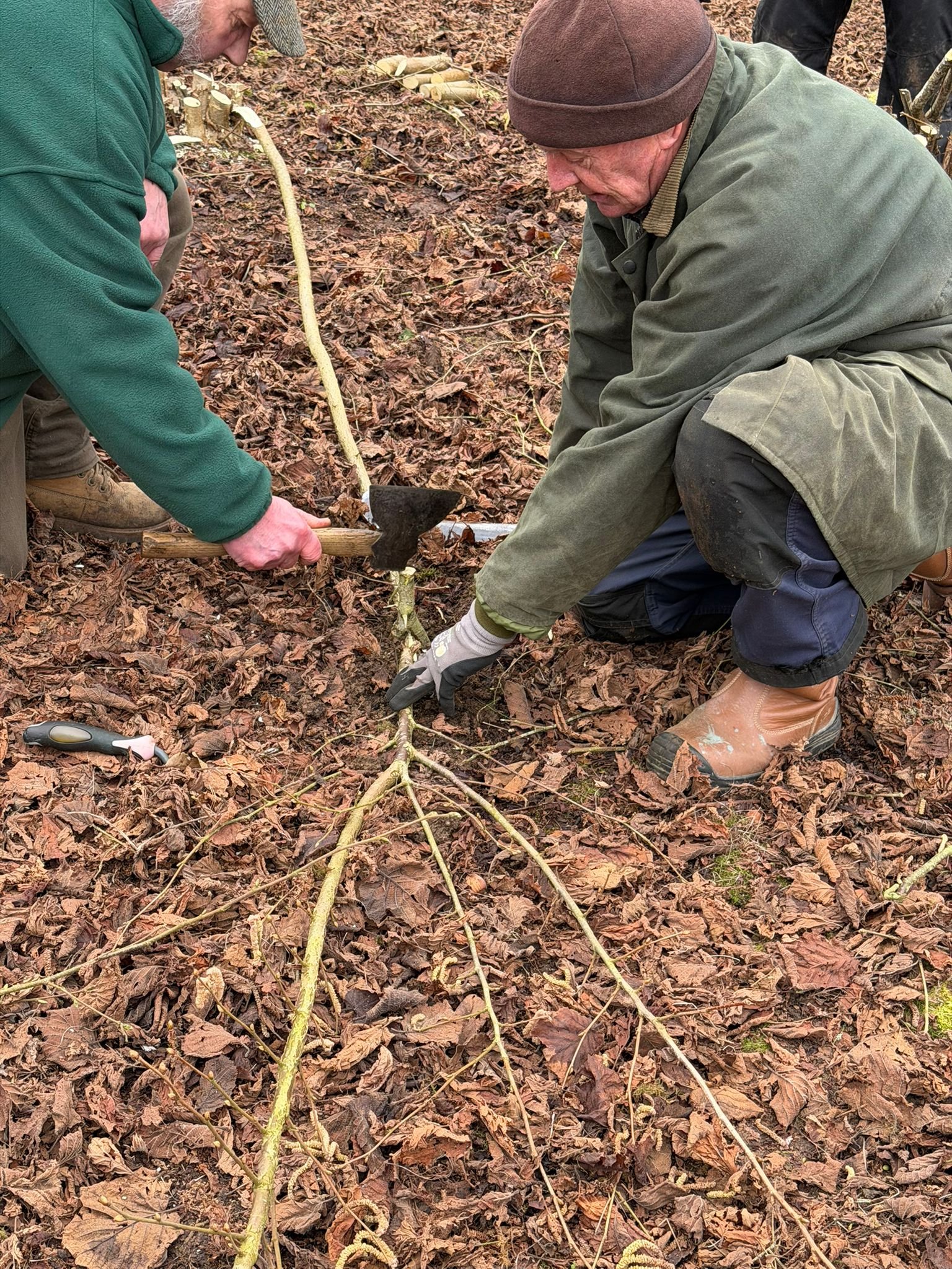 WhatsApp Image 2026-02-23 at 18.31.31 (8).jpeg