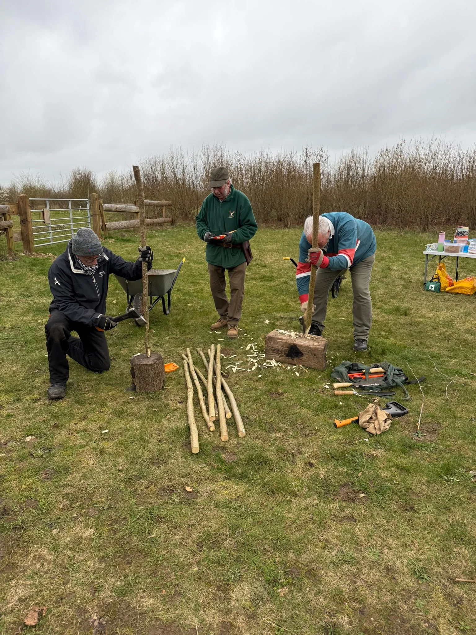 WhatsApp Image 2026-02-23 at 18.31.31 (9).jpeg