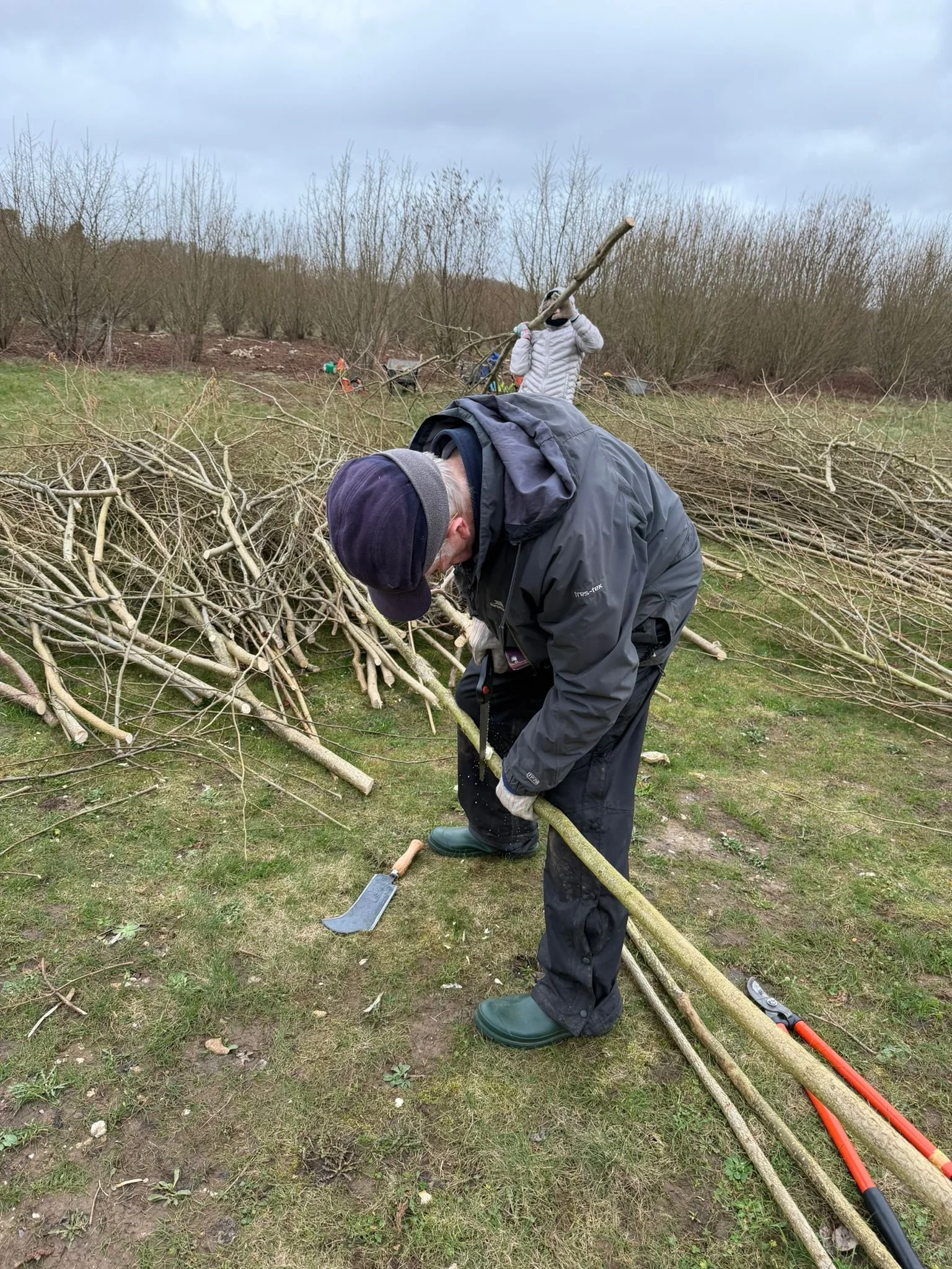 WhatsApp Image 2026-02-23 at 18.31.31 (11).jpeg