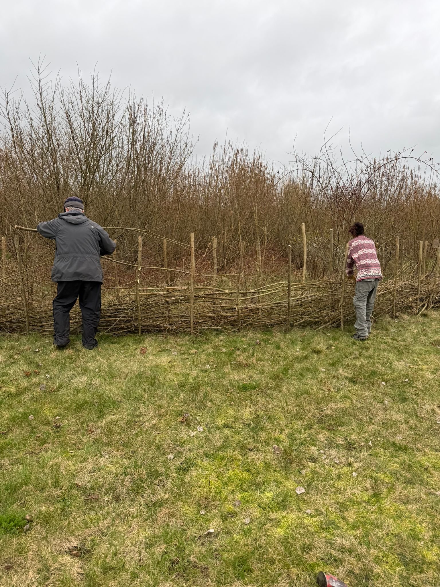 WhatsApp Image 2026-02-23 at 18.31.31 (12).jpeg