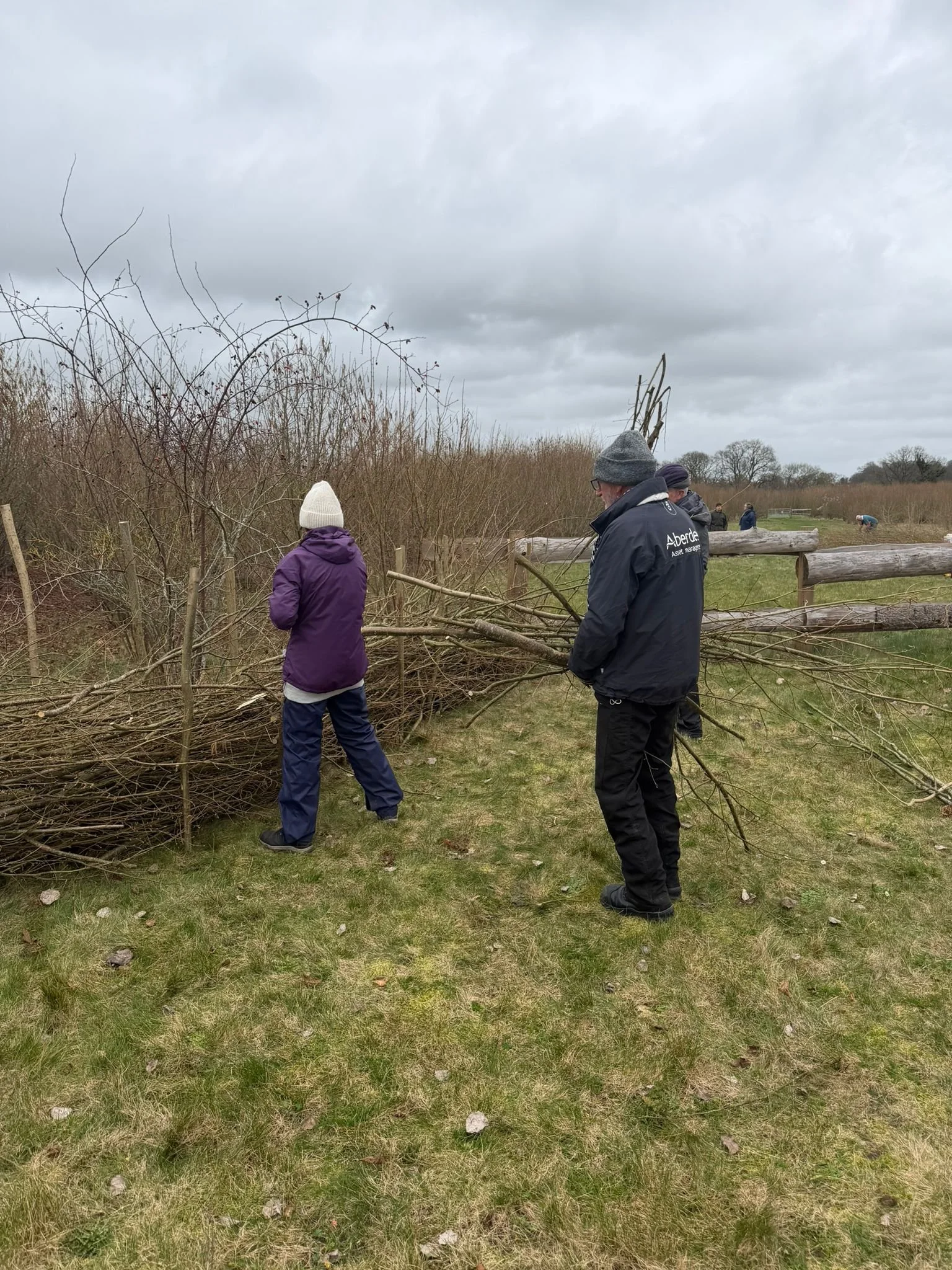 WhatsApp Image 2026-02-23 at 18.31.31 (16).jpeg