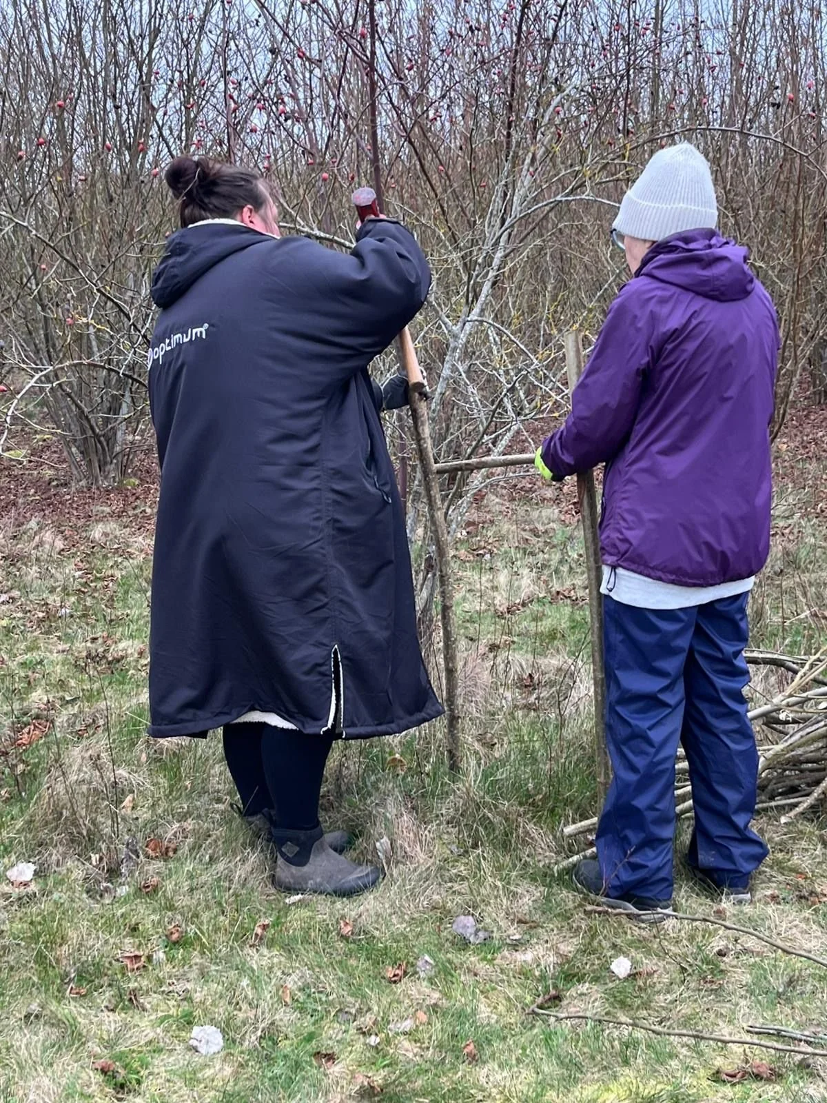 WhatsApp Image 2026-02-23 at 18.31.31 (17).jpeg