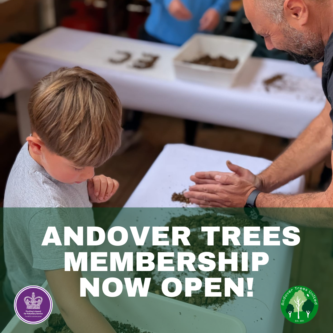 Become a Supporter of The Diamond Wood - Membership Is Open