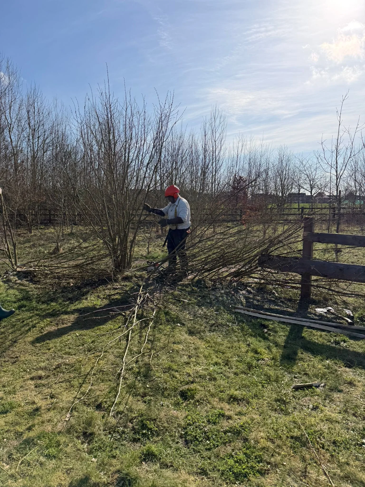 WhatsApp Image 2026-03-02 at 17.52.10 (6).jpeg