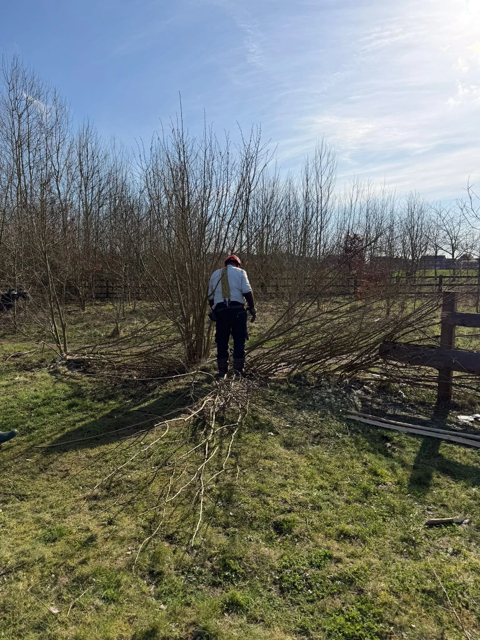 WhatsApp Image 2026-03-02 at 17.52.10 (7).jpeg