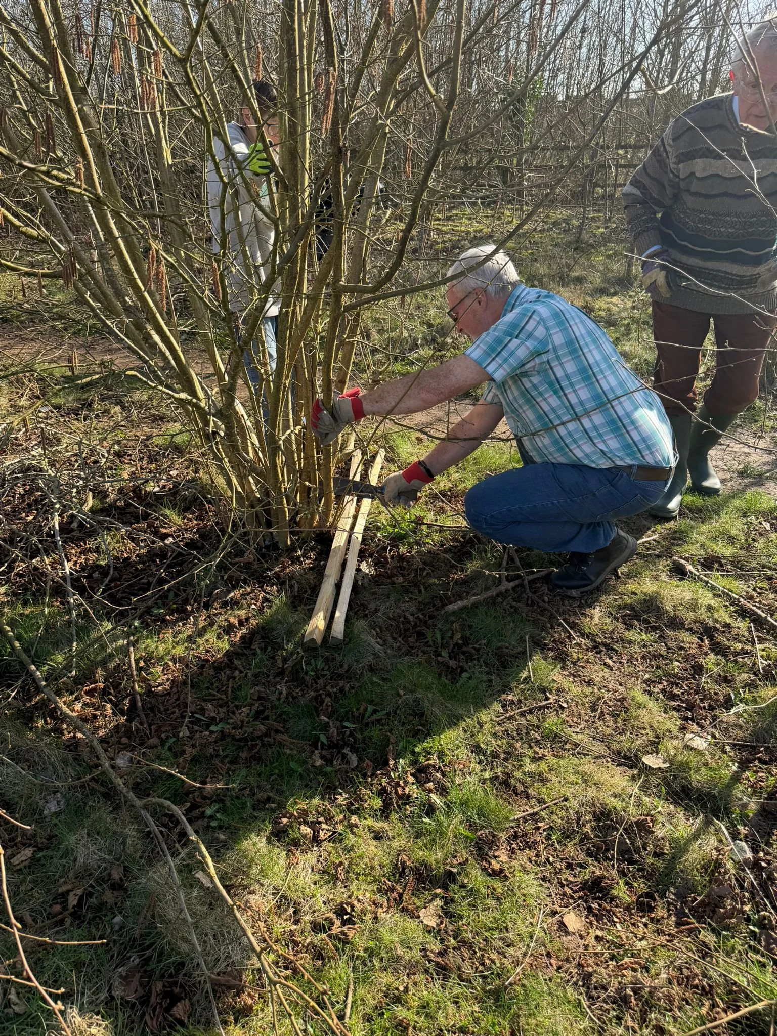 WhatsApp Image 2026-03-02 at 17.52.10 (8).jpeg