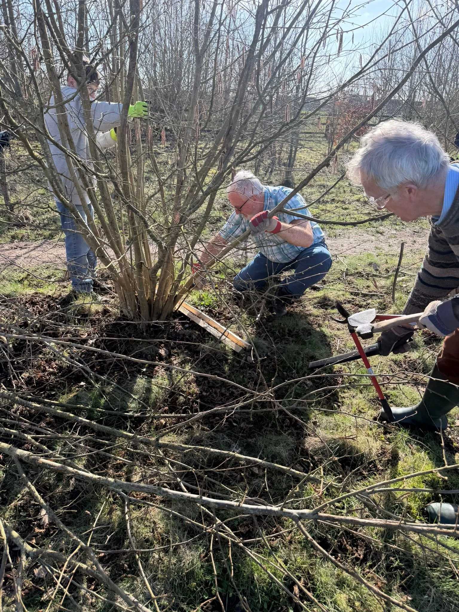 WhatsApp Image 2026-03-02 at 17.52.10 (9).jpeg